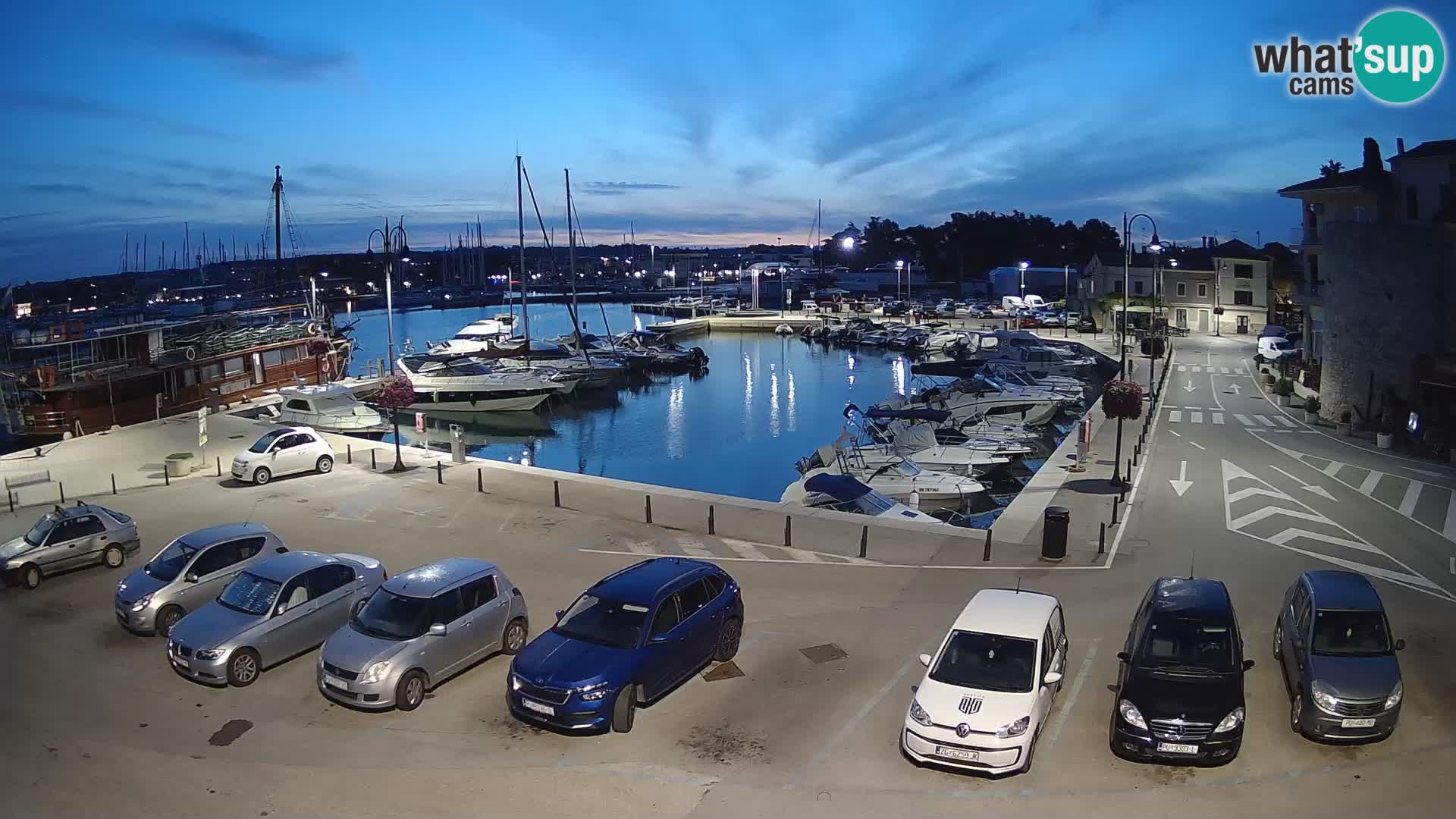 Novigrad | Porporela marina