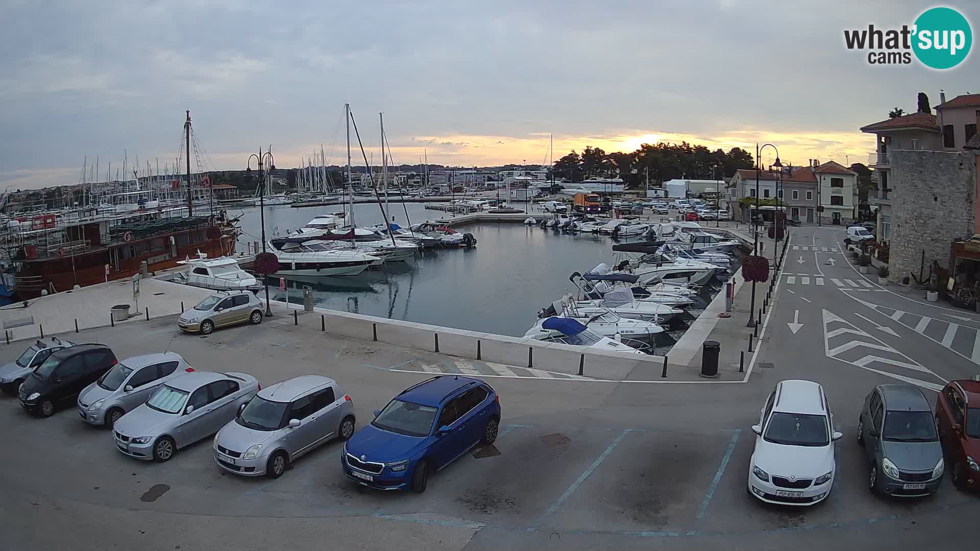 Novigrad | Porporela marina