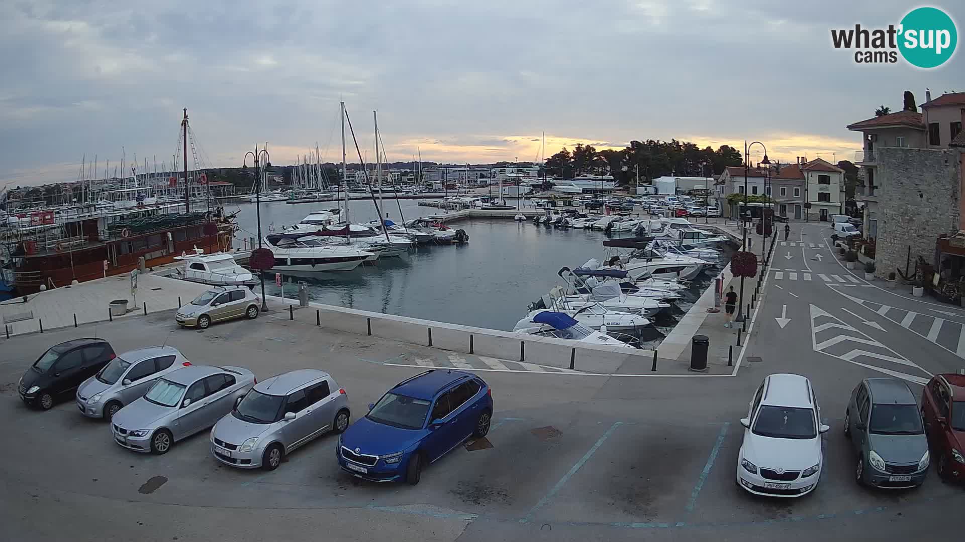 Novigrad | Porporela marina