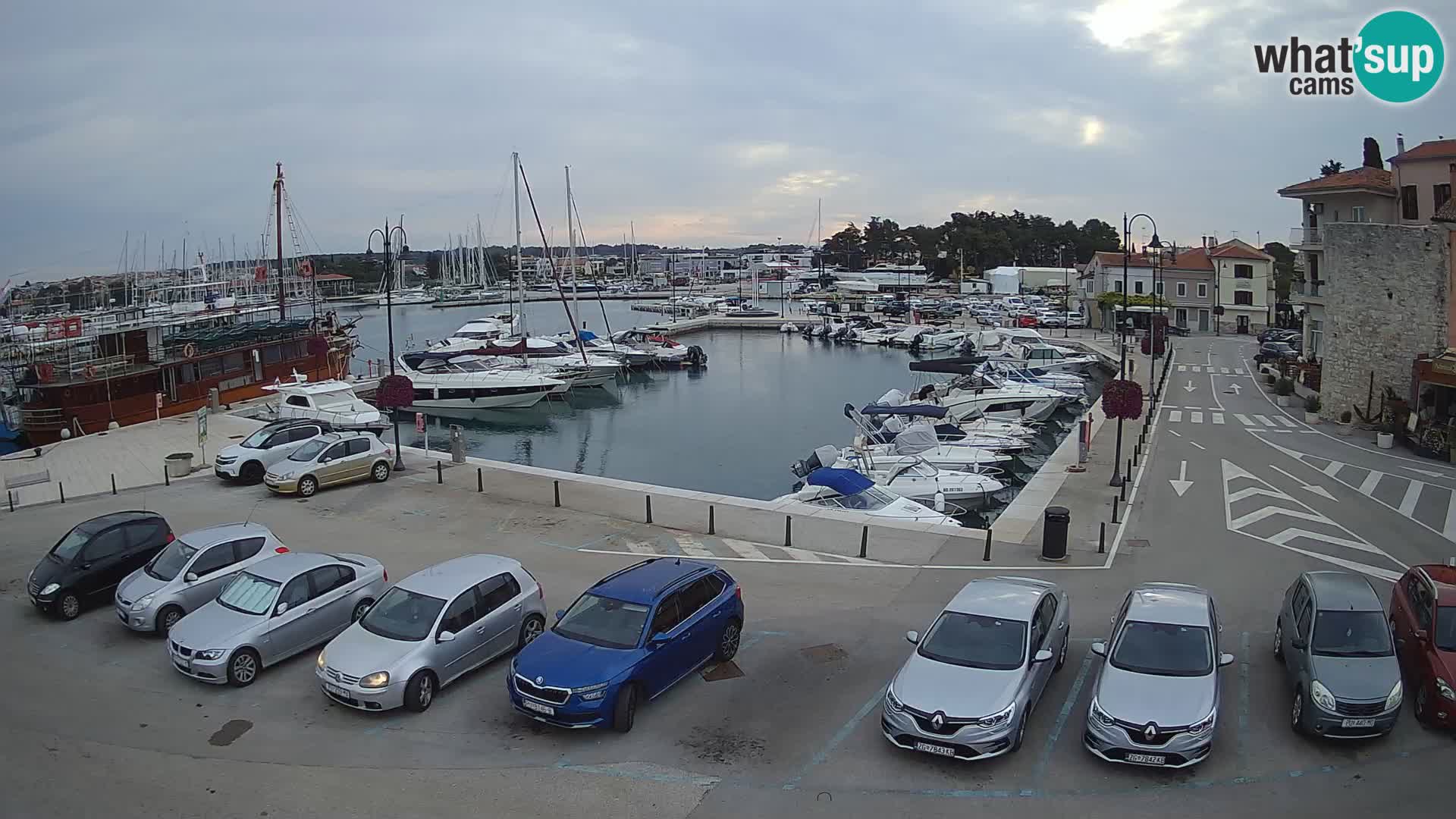Novigrad | Porporela marina