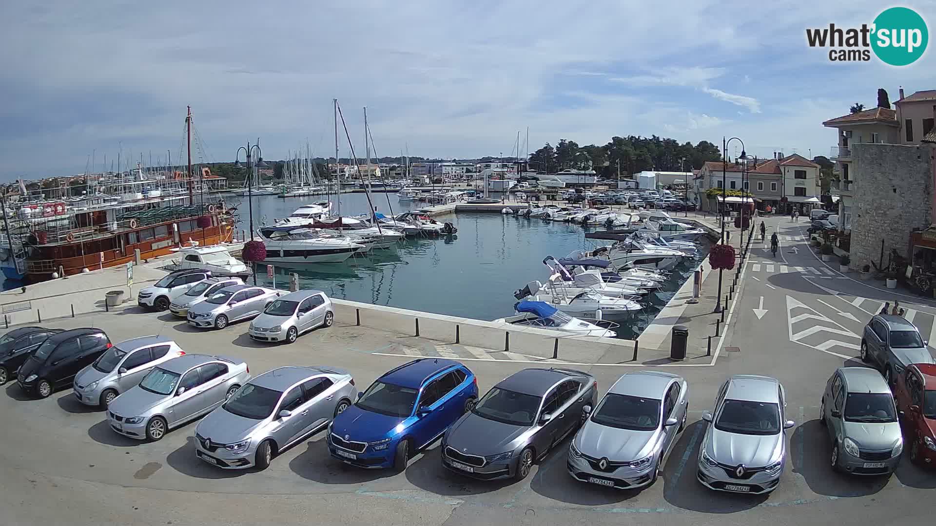 Novigrad | Porporela marina