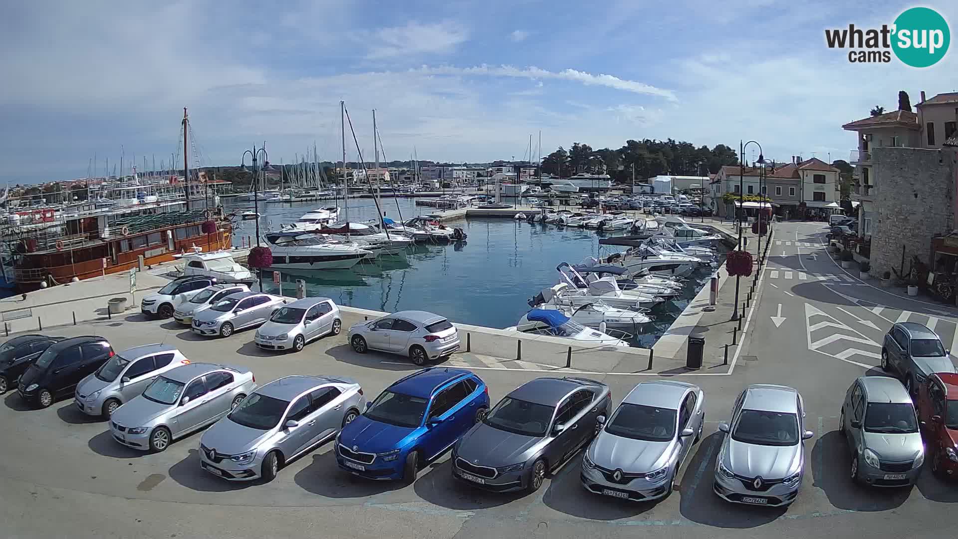Novigrad | Porporela marina
