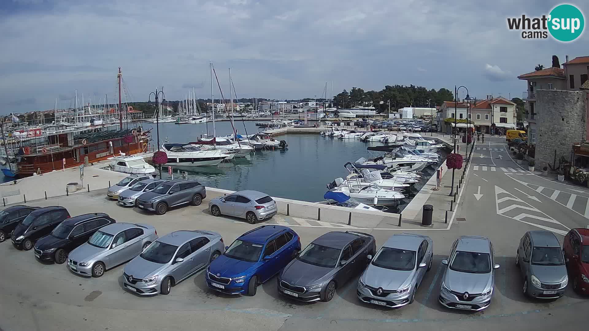 Novigrad | Porporela marina