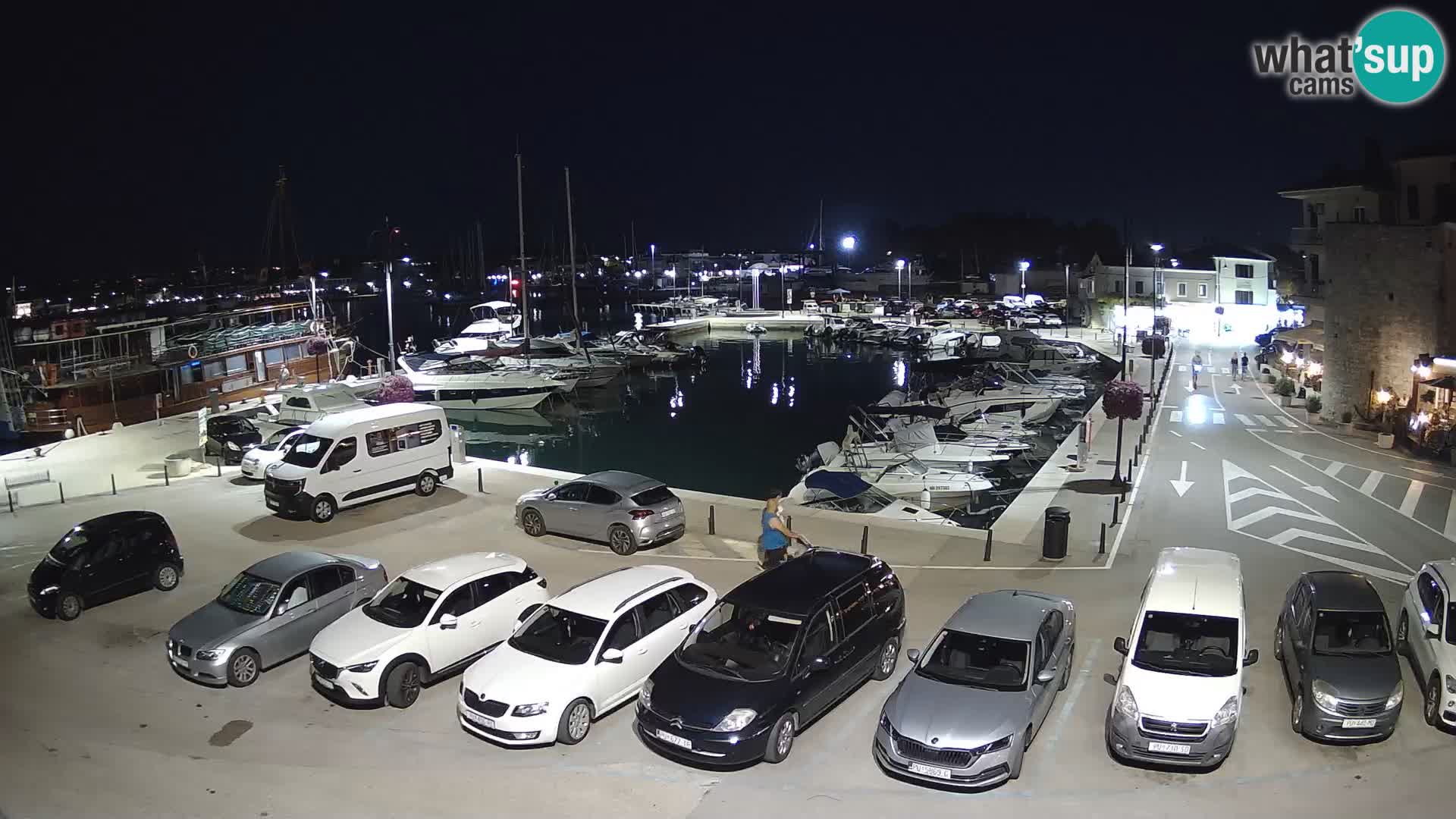 Novigrad | Porporela marina