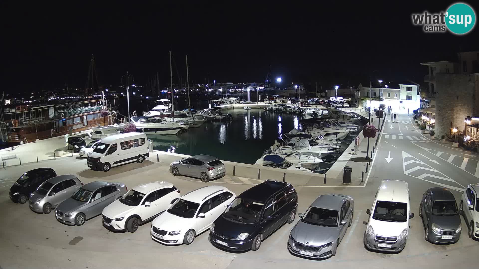 Novigrad | Porporela marina