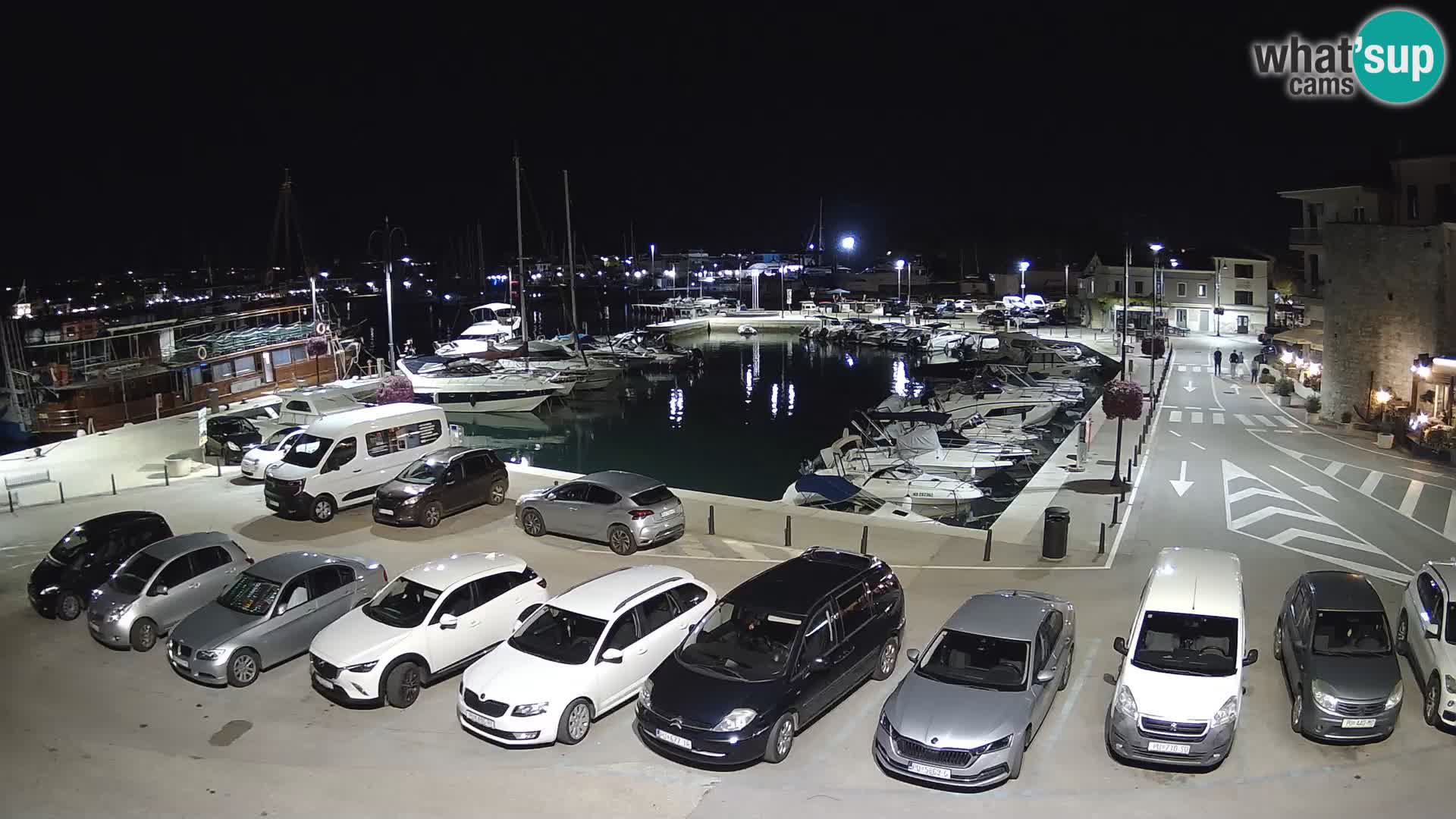 Novigrad | Porporela marina