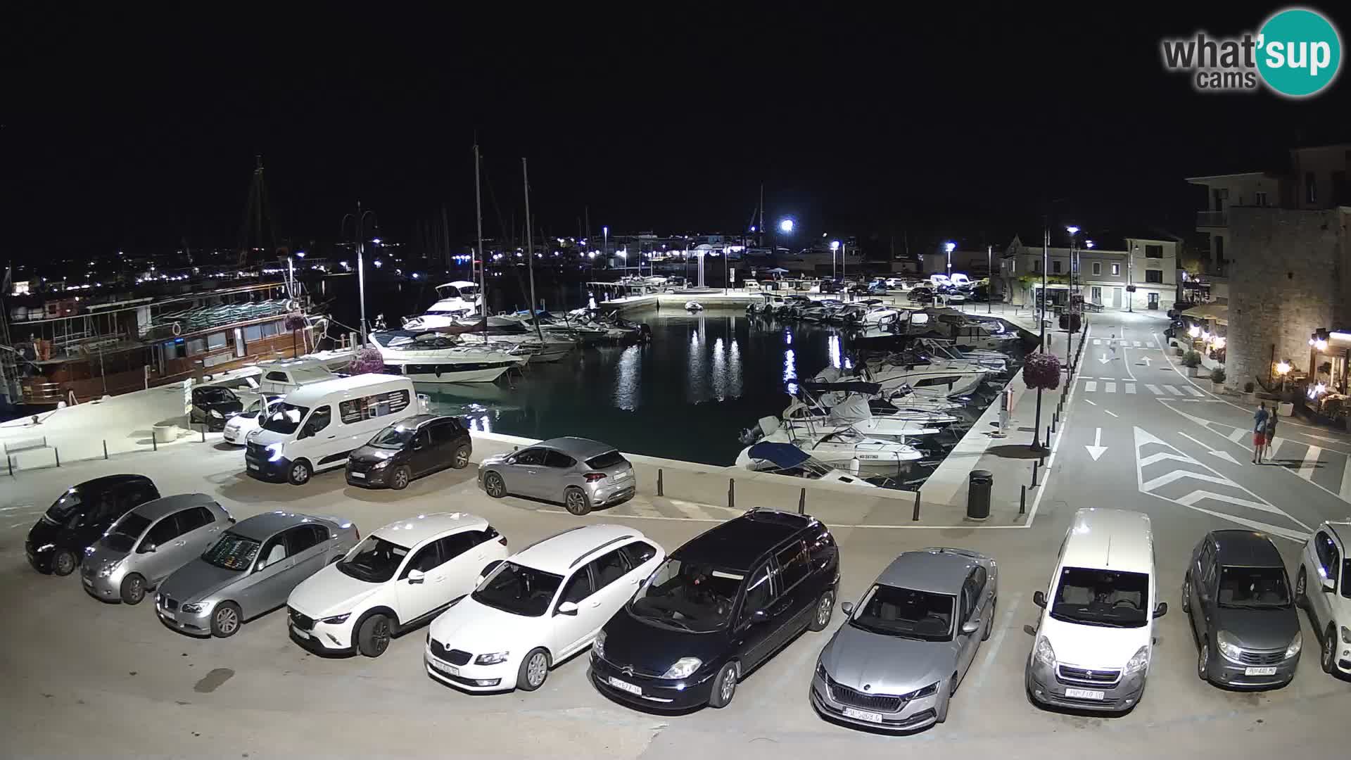 Novigrad | Porporela marina