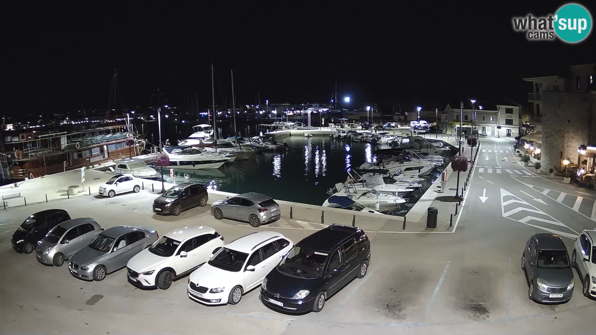 Novigrad | Porporela marina