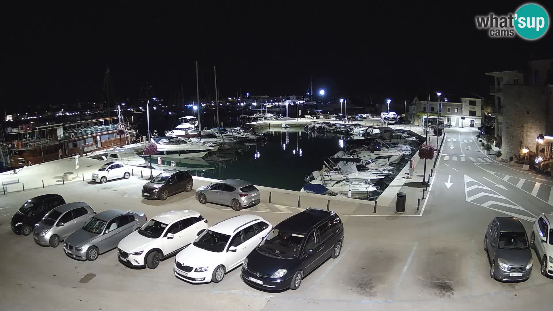 Novigrad | Porporela marina