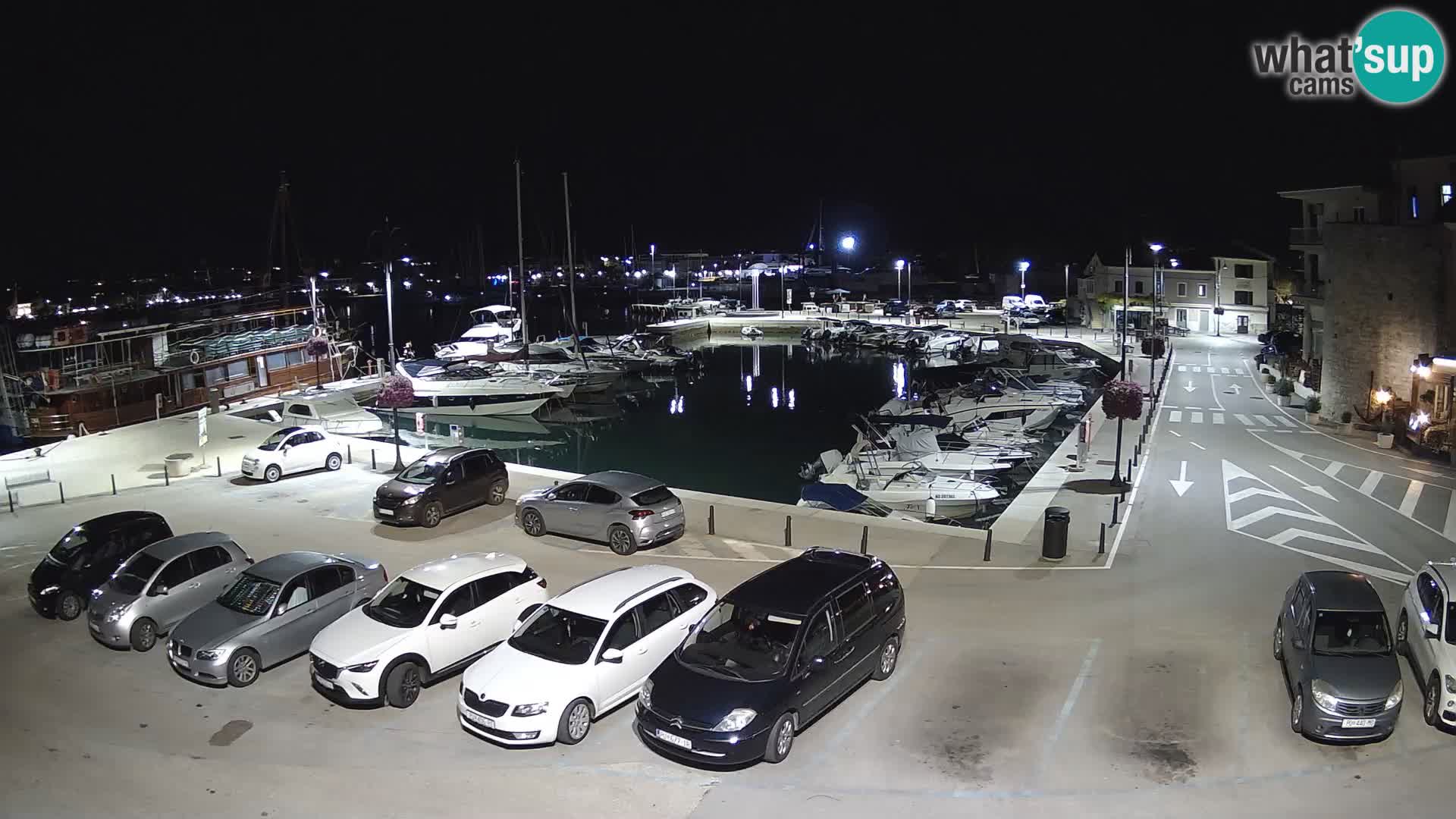 Novigrad | Porporela marina