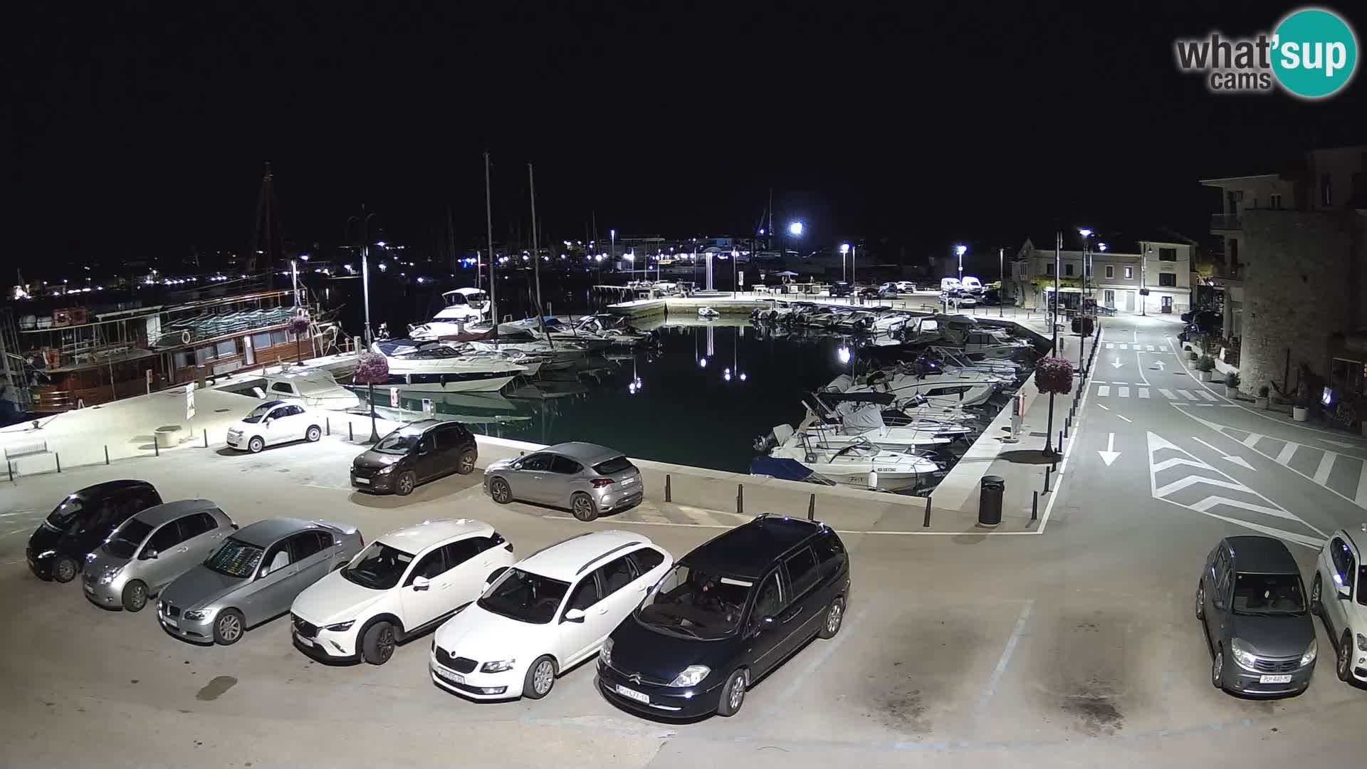 Novigrad | Porporela marina
