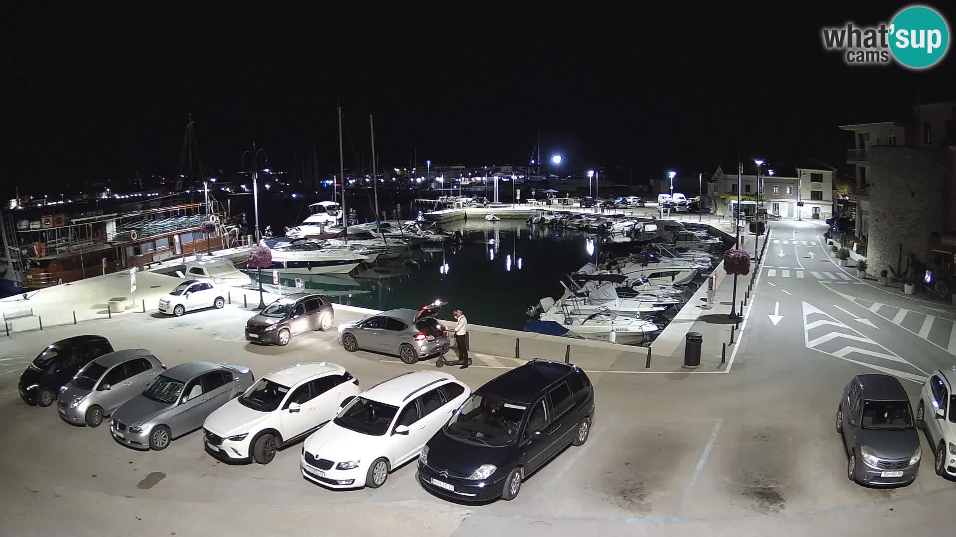 Novigrad | Porporela marina
