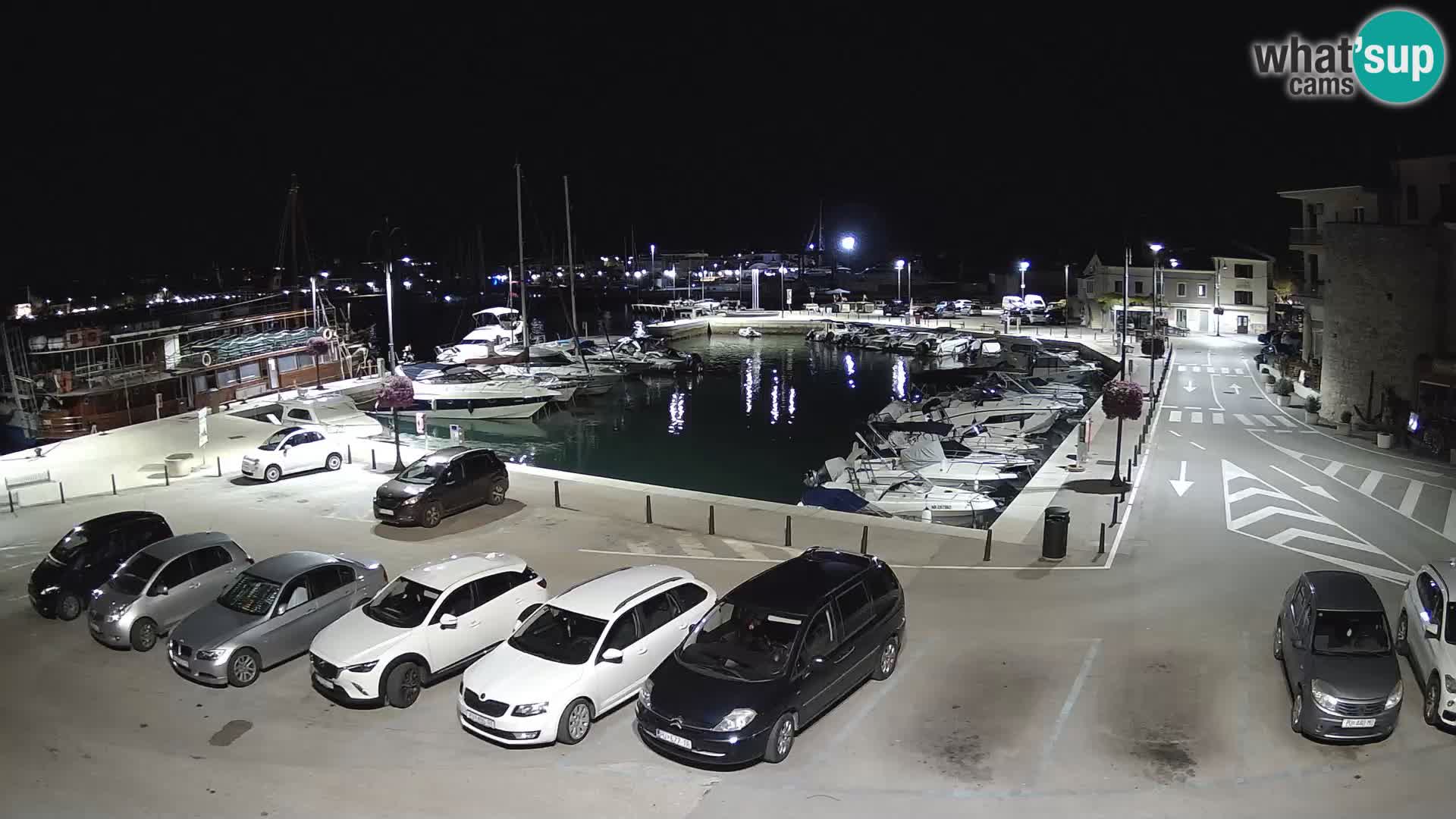 Novigrad | Porporela marina