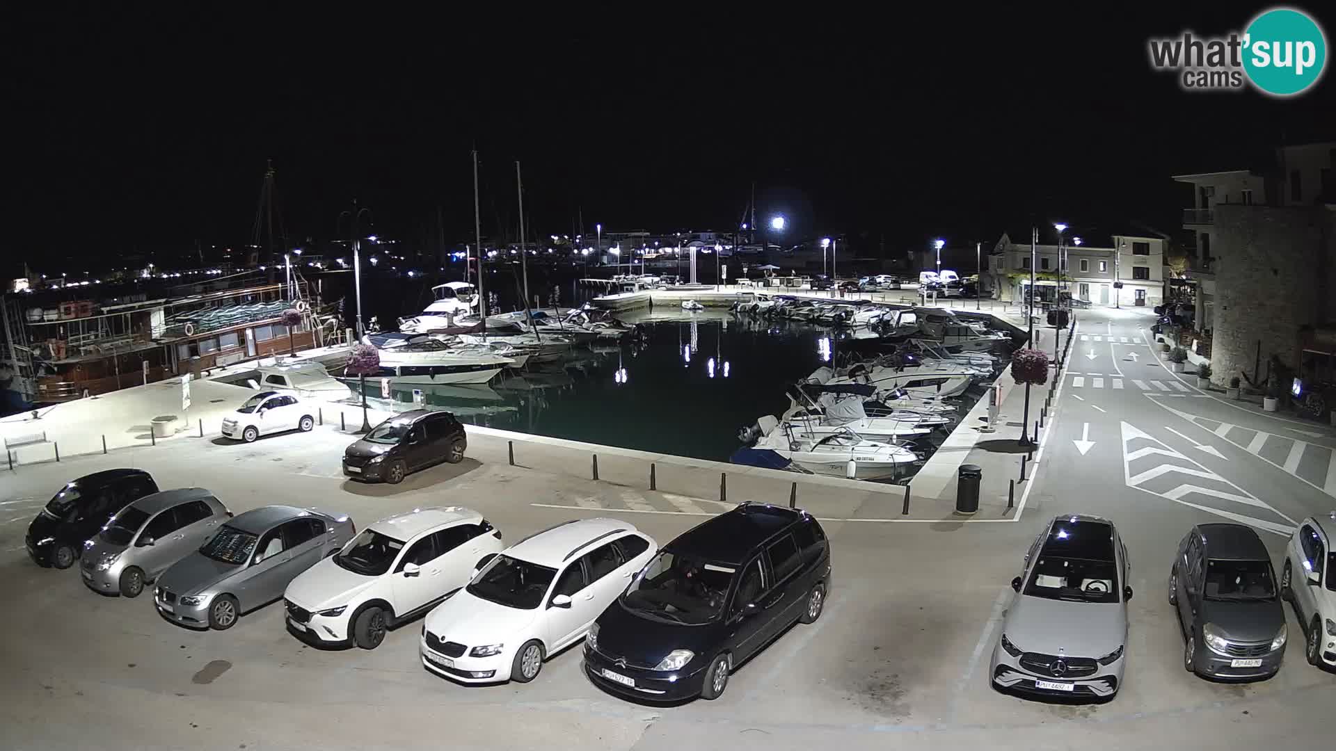 Novigrad | Porporela marina