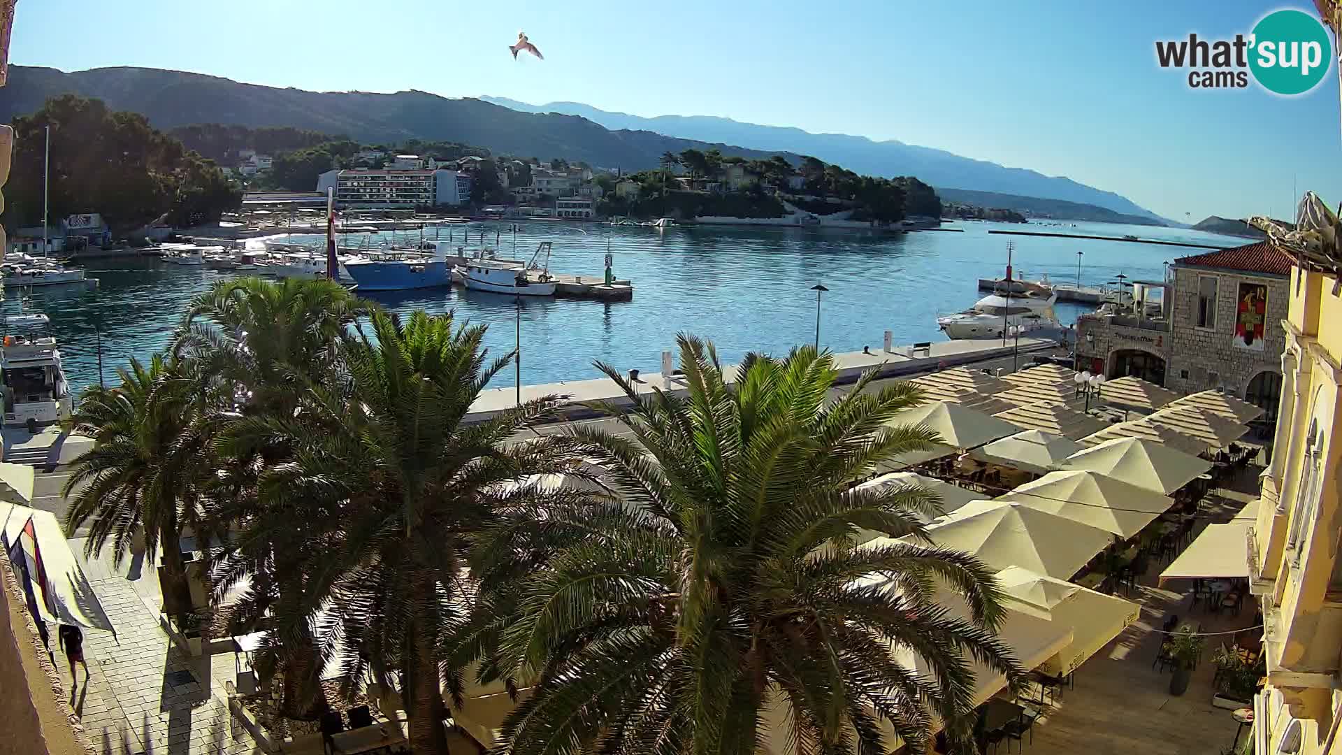 Event webcam – Rab