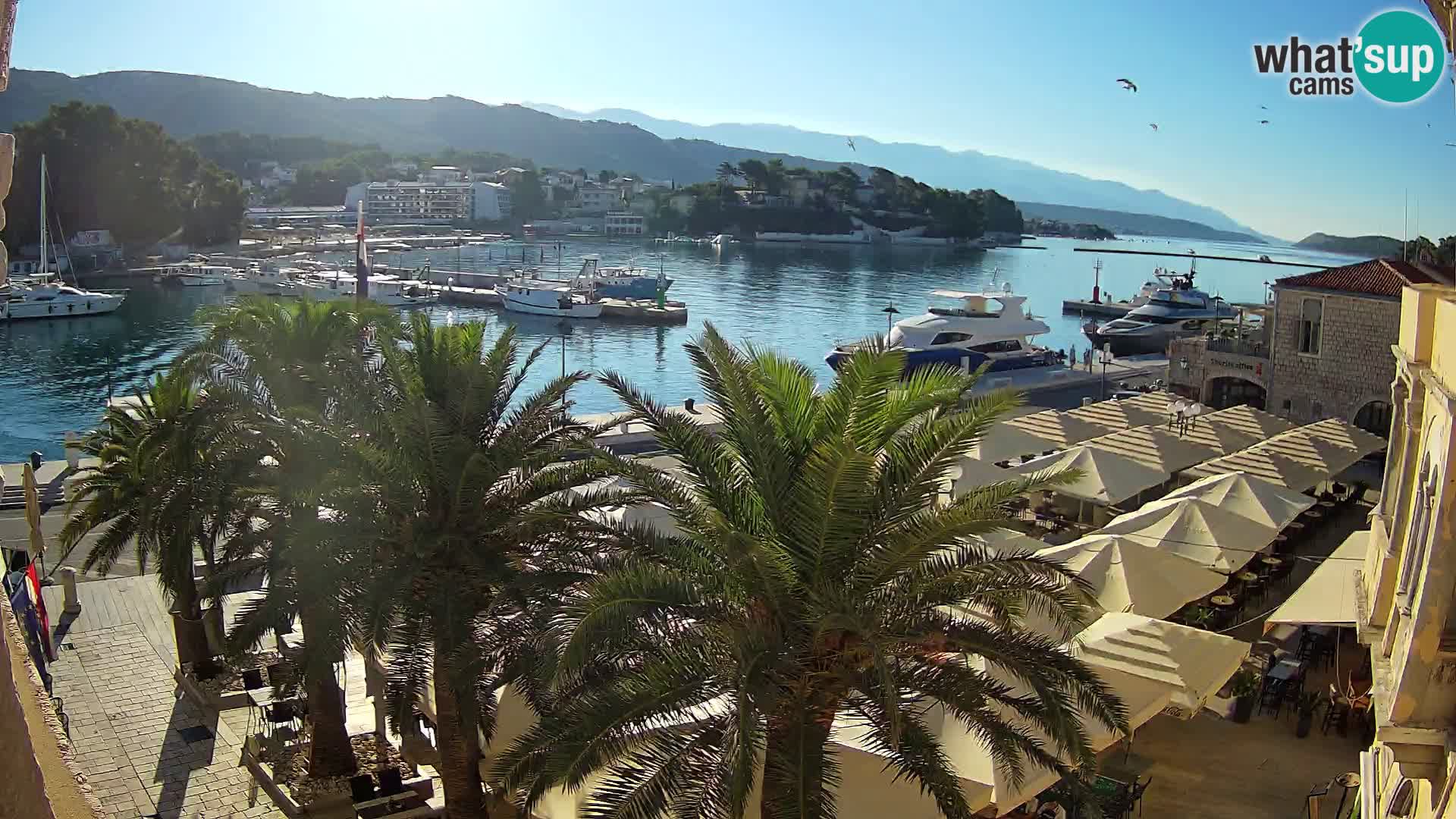 Event webcam – Rab