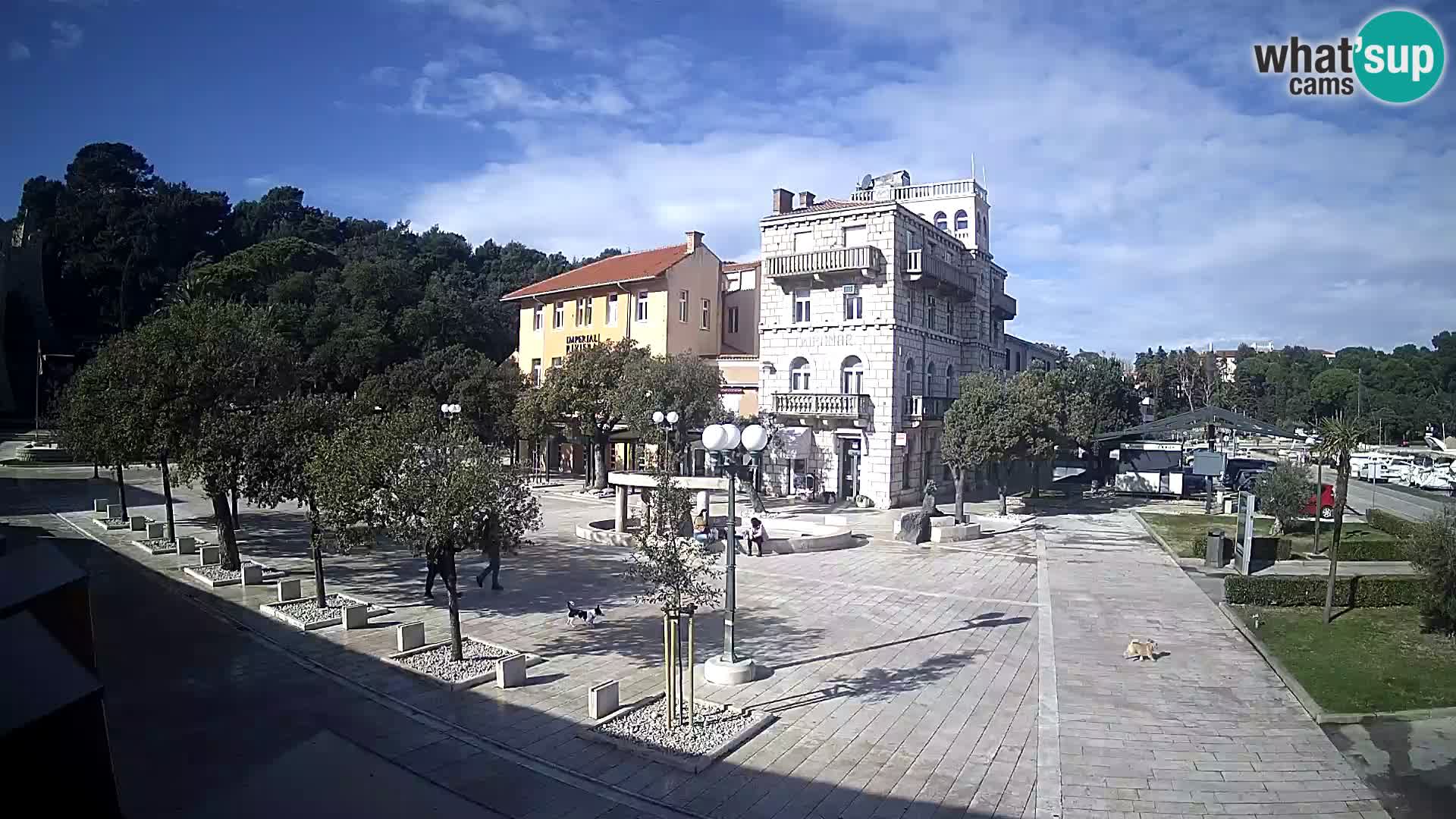 Webcam Rab – event