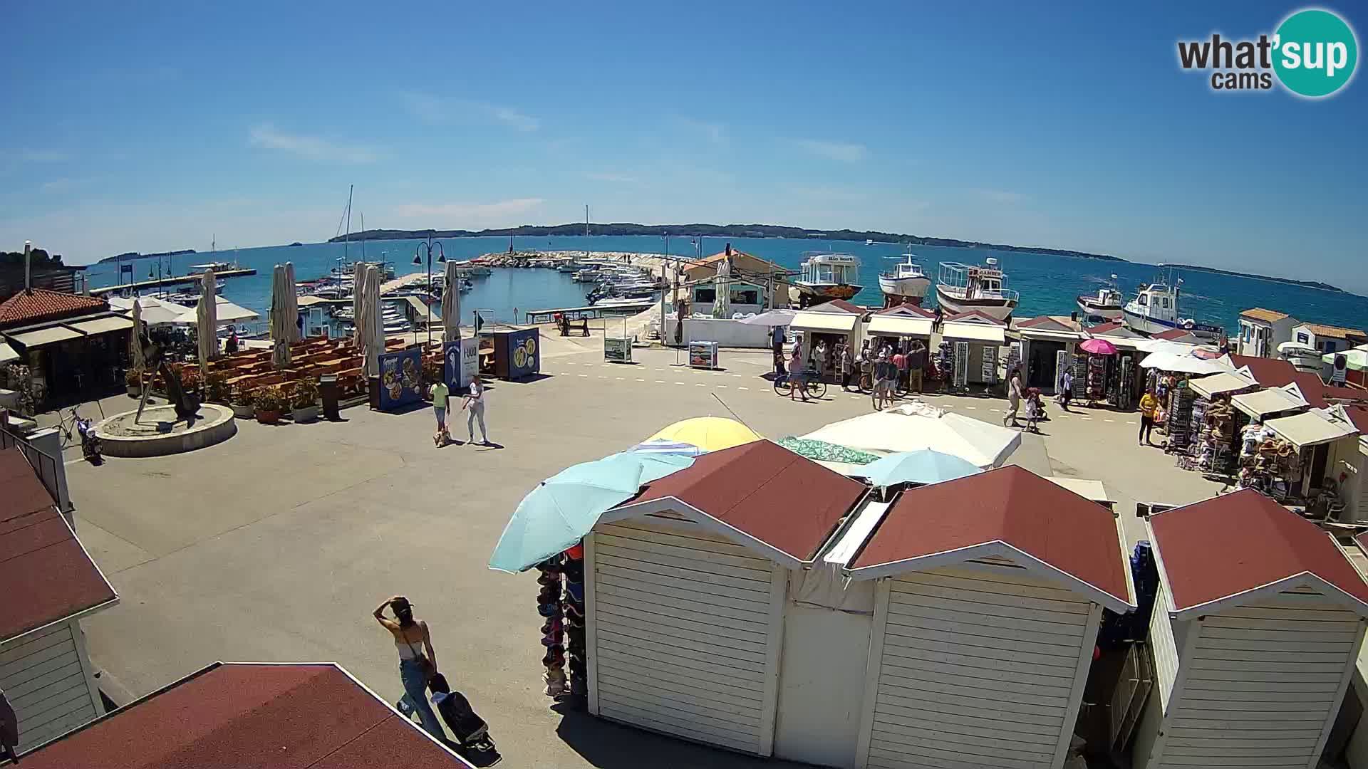 Fažana live webcam – Istria – Croatia