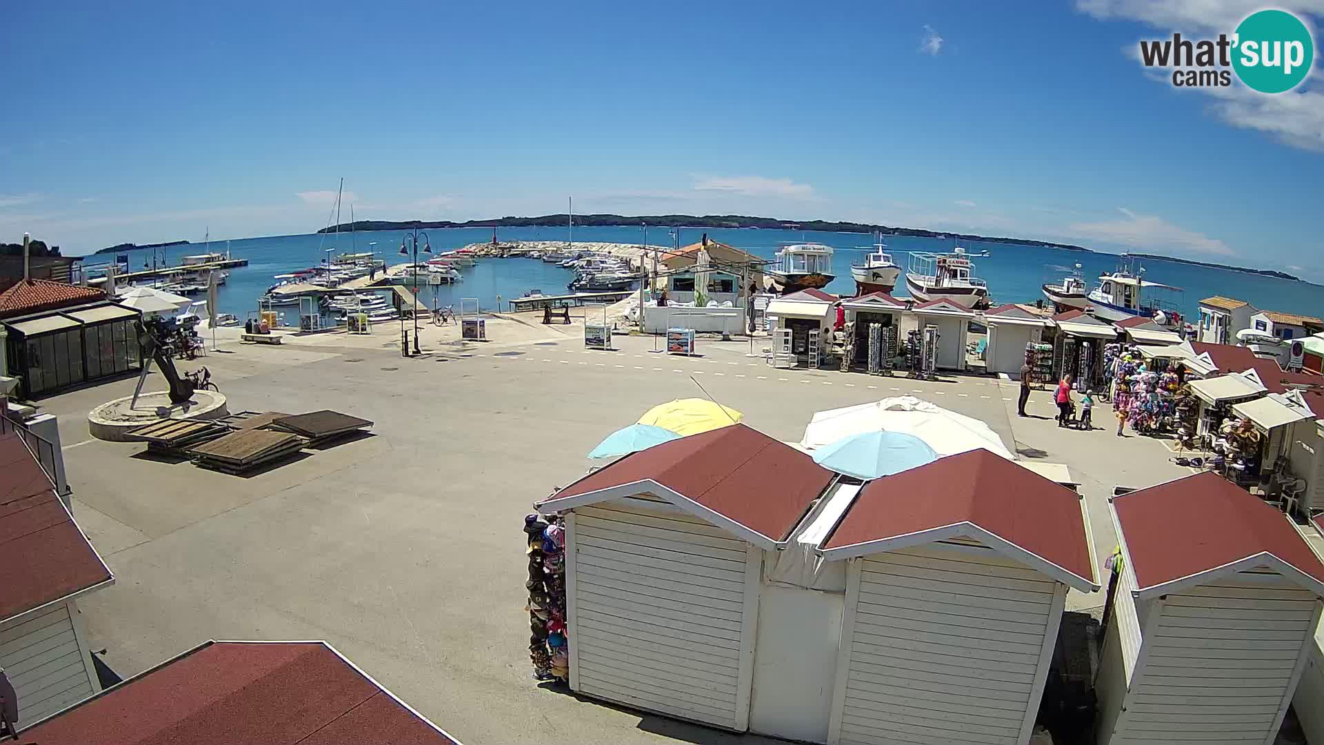 Fažana live webcam – Istria – Croatia