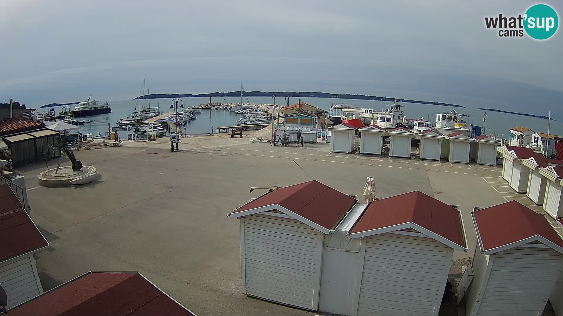 Fažana live webcam – Istria – Croatia