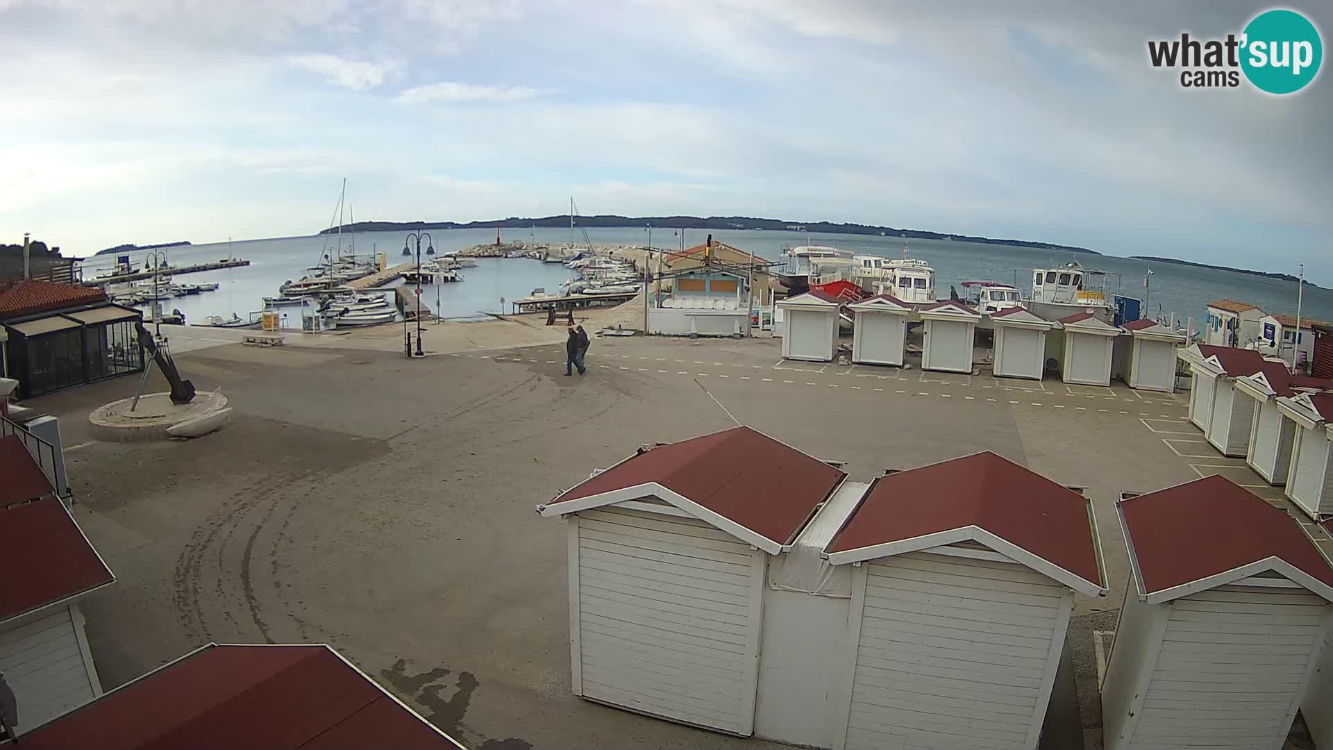 Live webcam Fažana