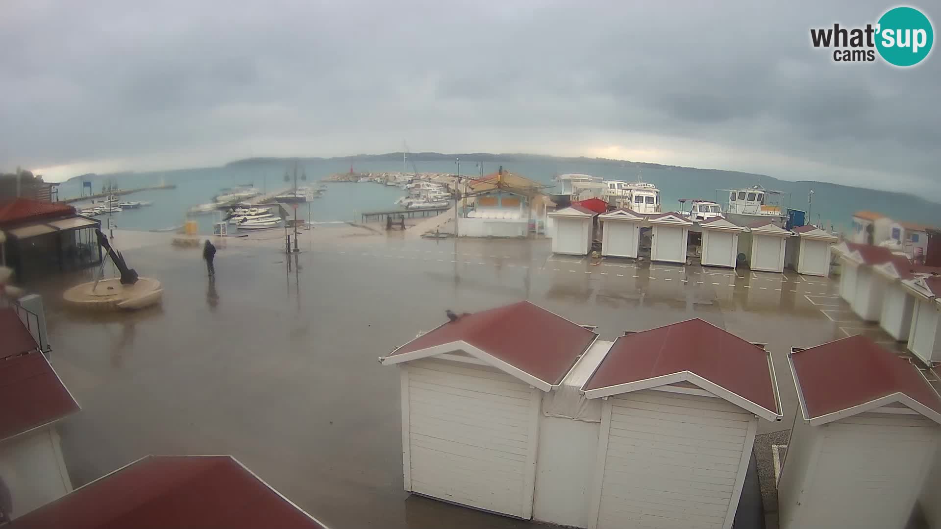 Live webcam Fažana