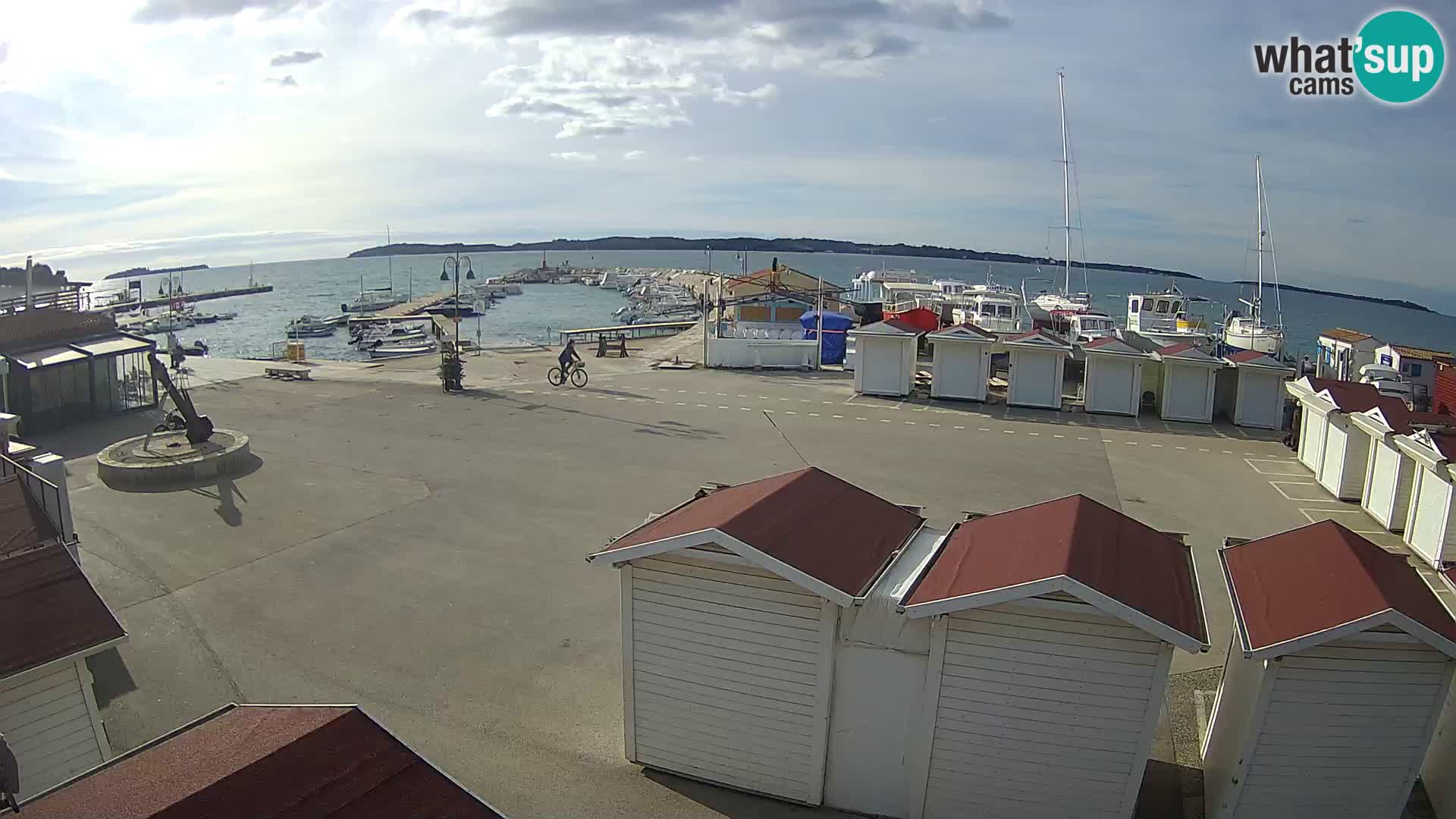 Fažana live webcam – Istria – Croatia