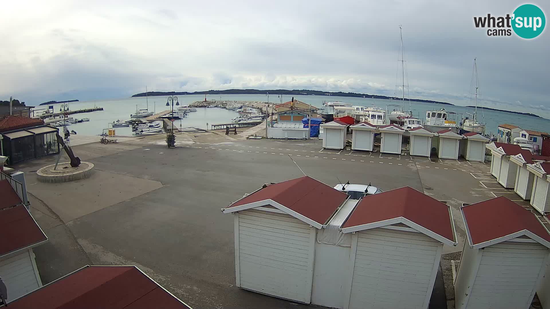 Fažana live webcam – Istria – Croatia