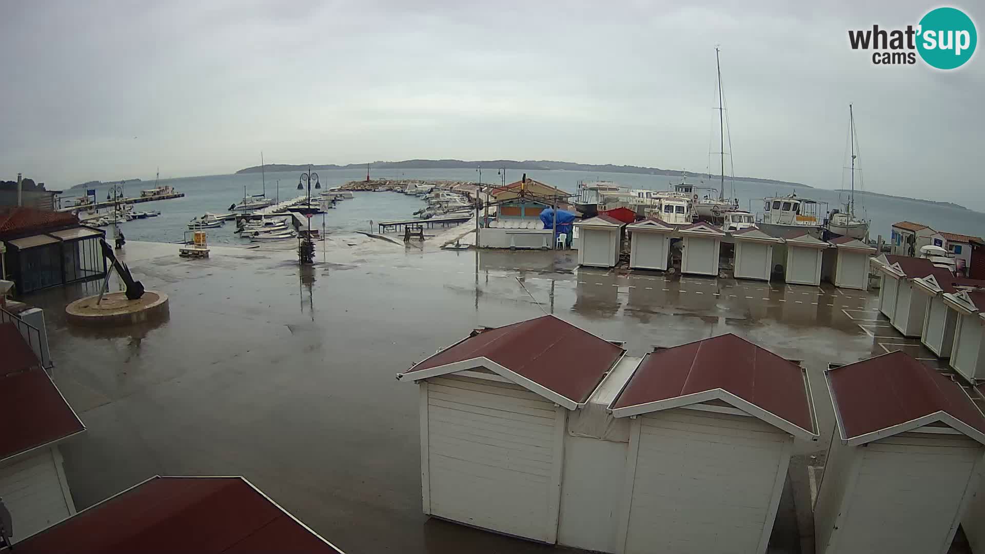 Fažana live webcam – Istria – Croatia