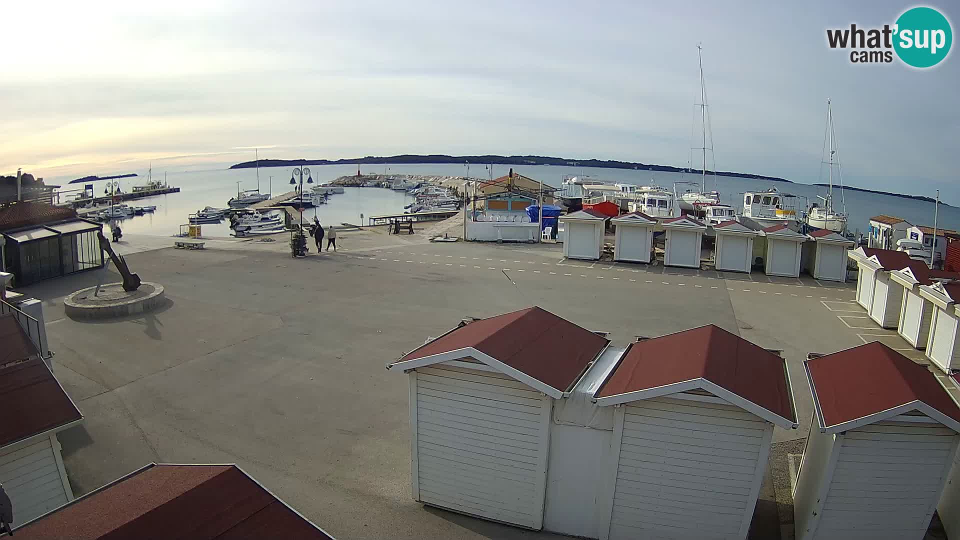 Fažana live webcam – Istria – Croatia