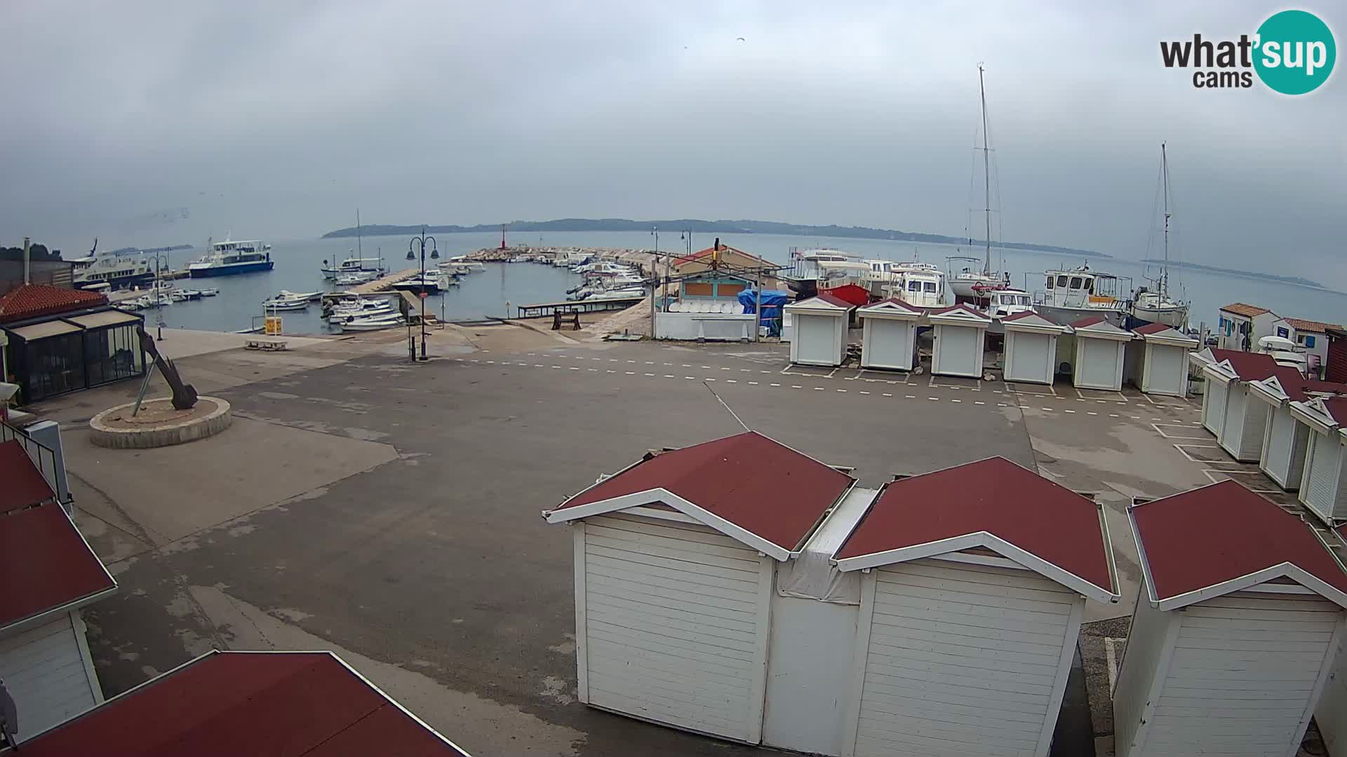 Live webcam Fažana