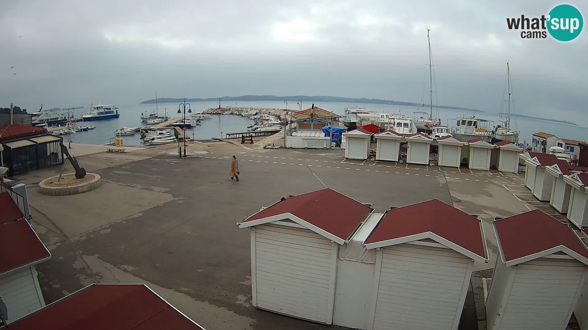 Live webcam Fažana