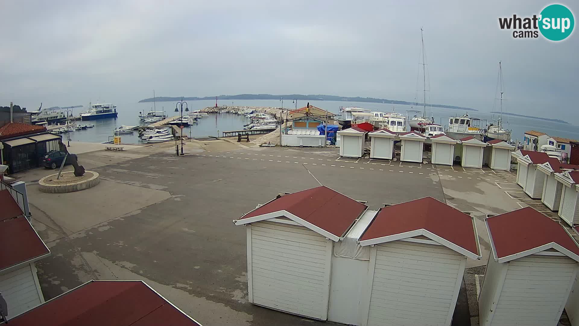 Live webcam Fažana