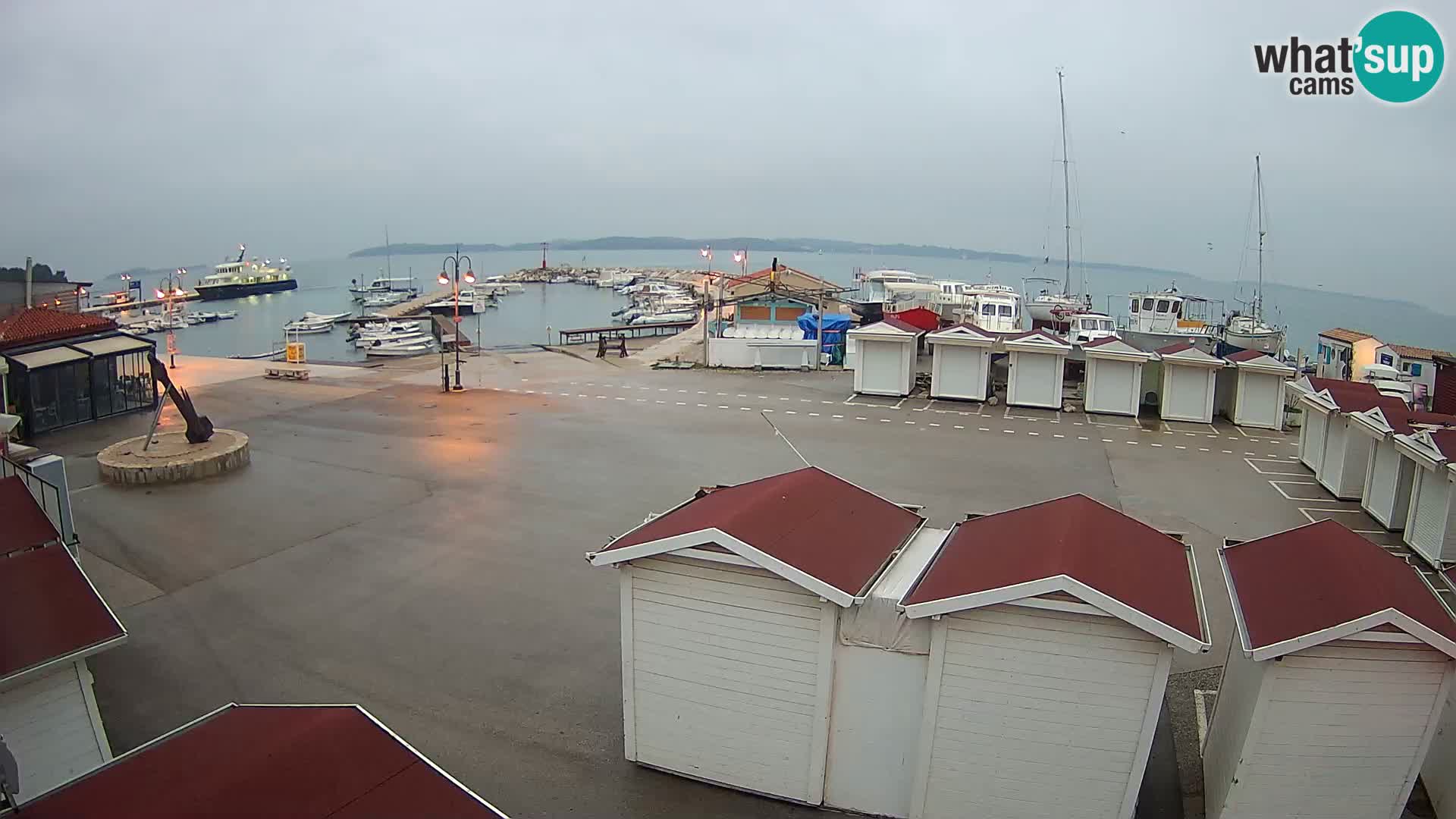 Fažana live webcam – Istria – Croatia