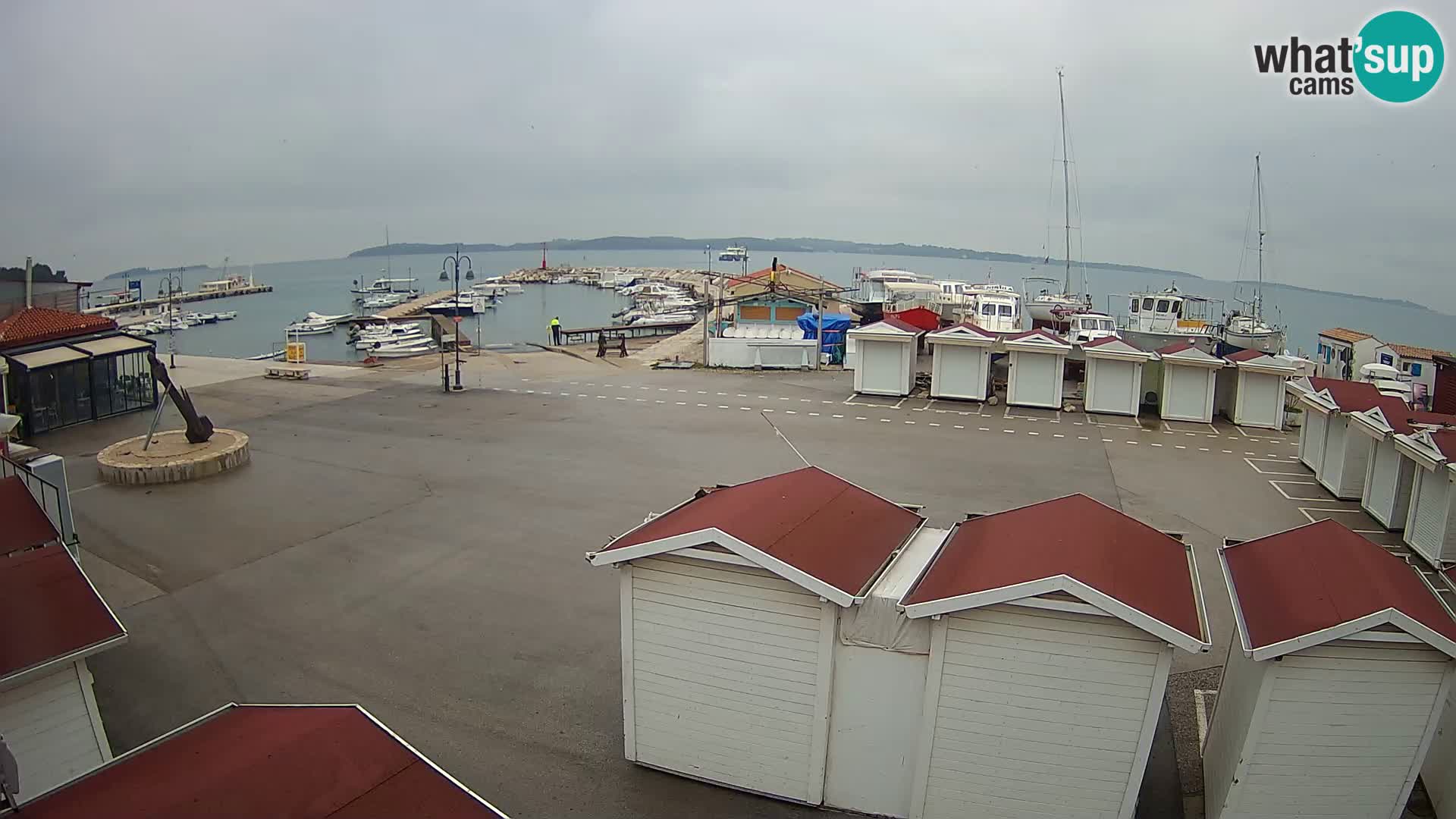 Fažana live webcam – Istria – Croatia