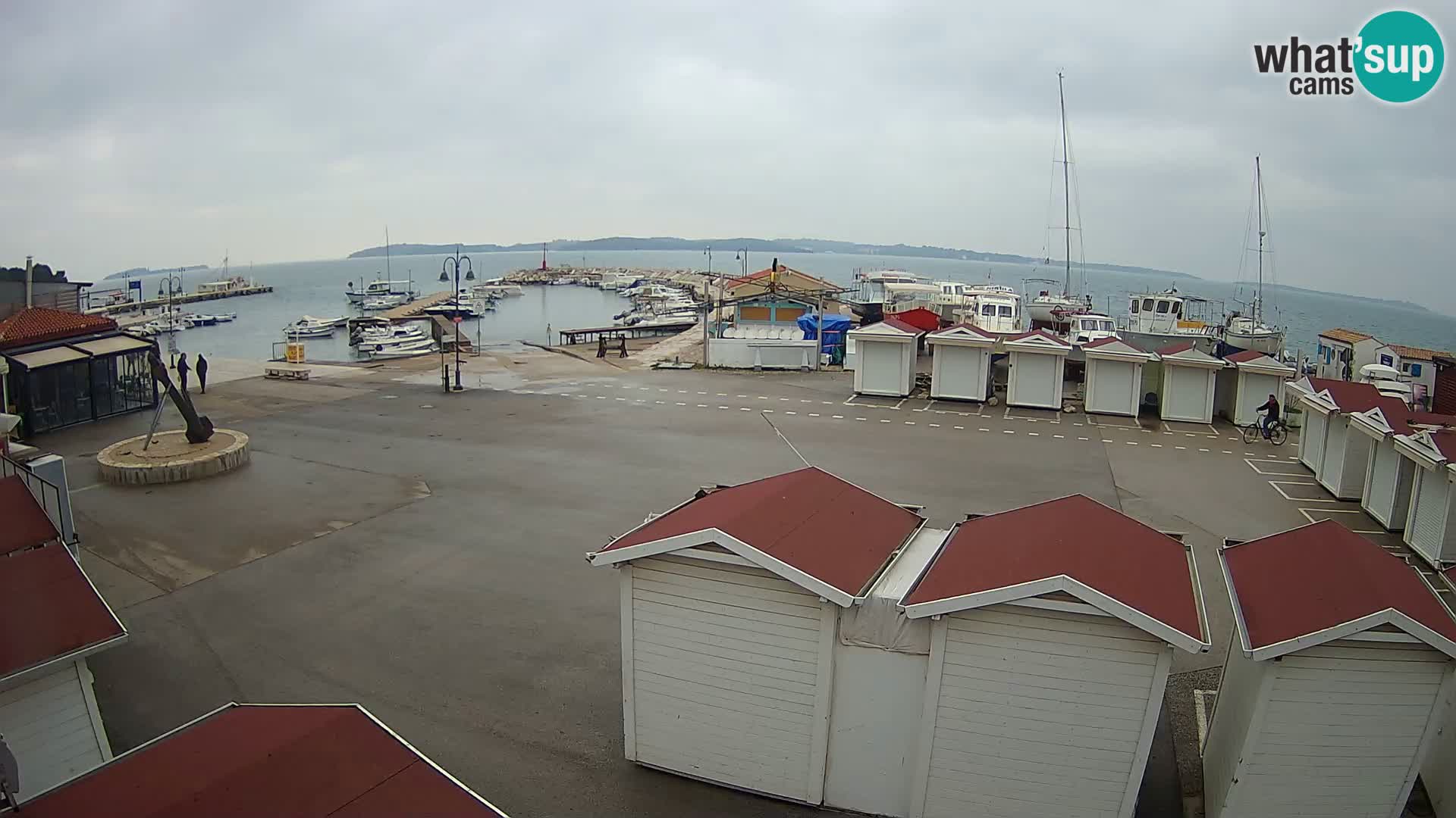 Fažana live webcam – Istria – Croatia