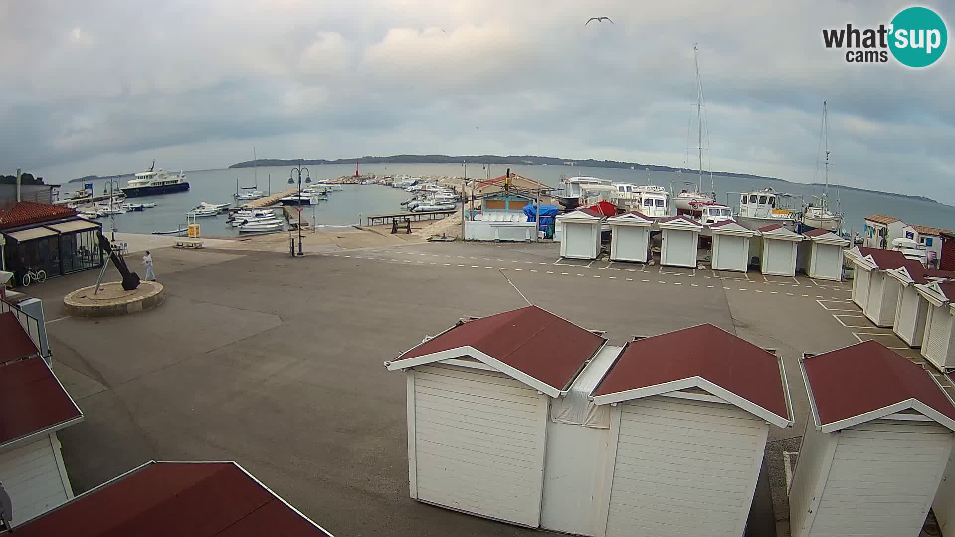 Fažana live webcam – Istria – Croatia