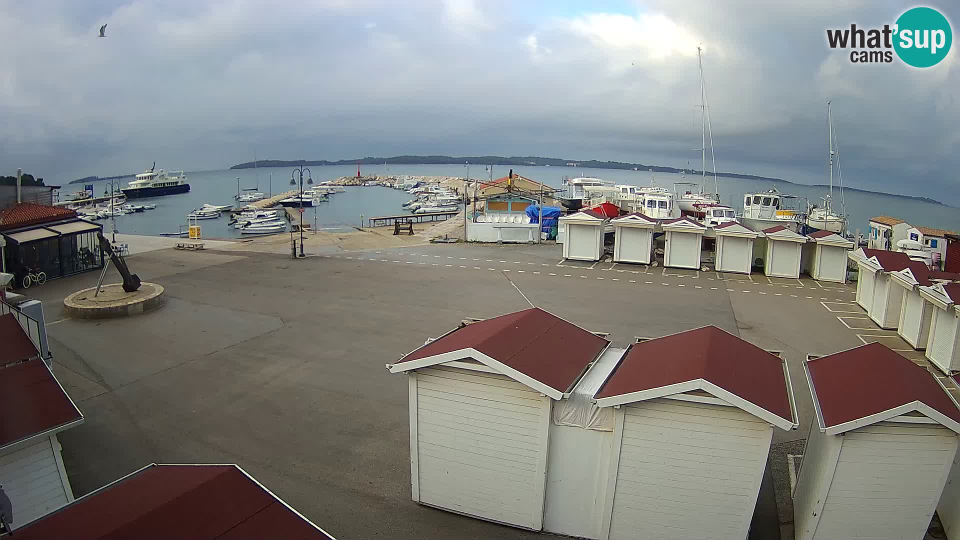 Fažana live webcam – Istria – Croatia