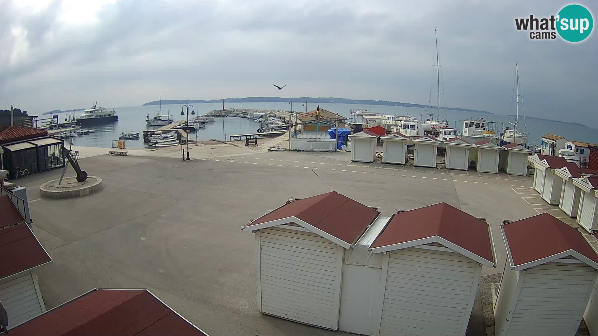 Live webcam Fažana