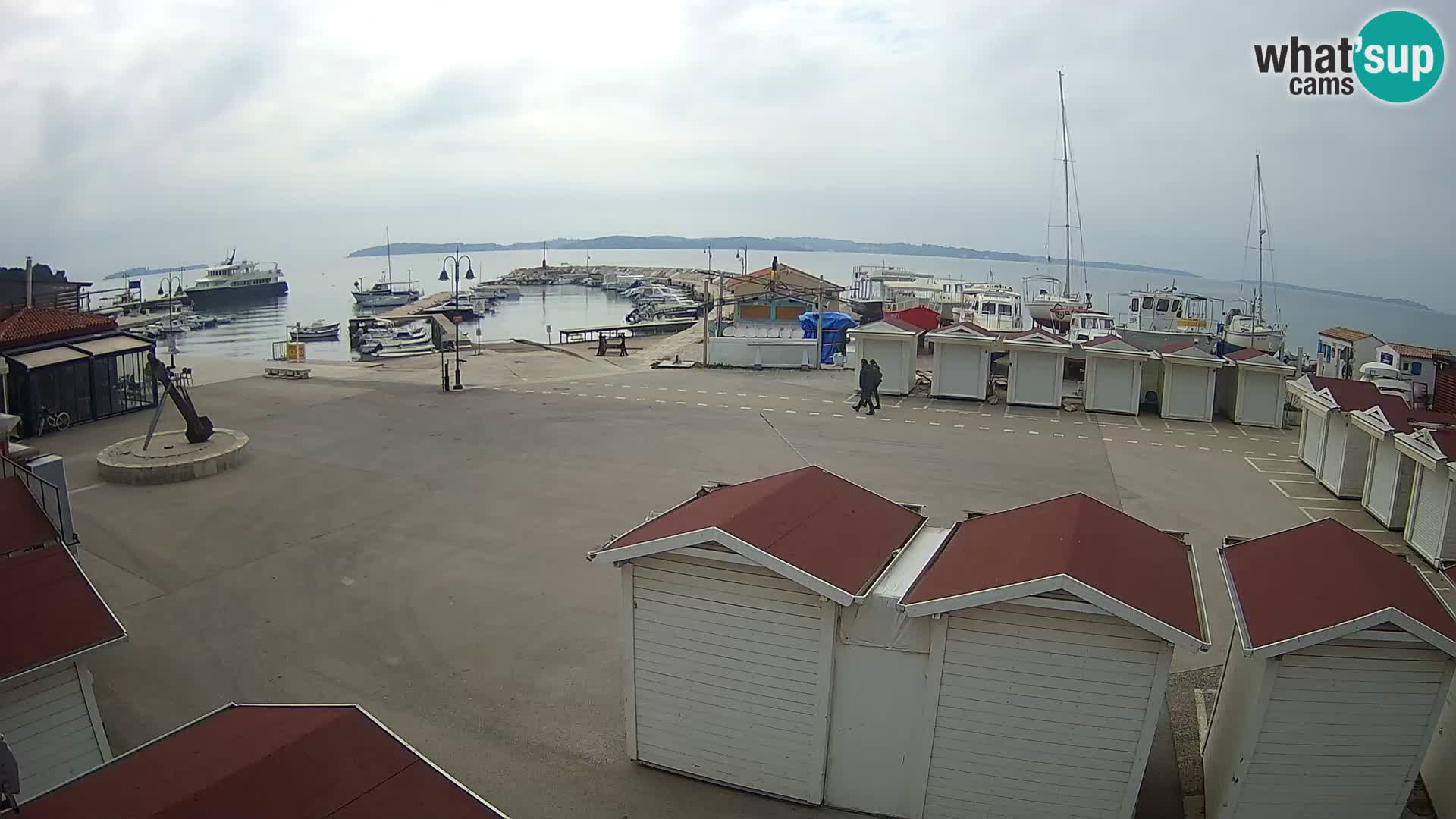 Fažana live webcam – Istria – Croatia