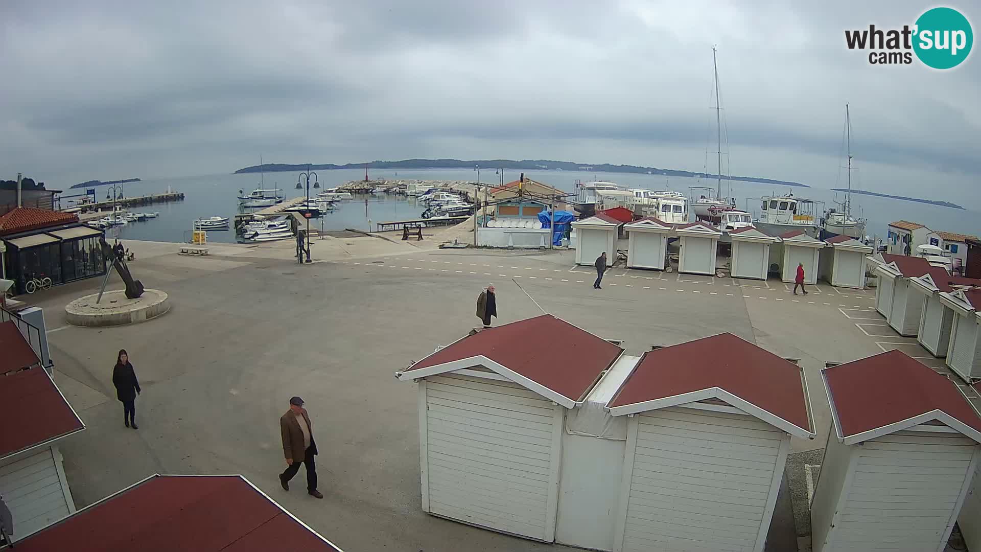 Fažana live webcam – Istria – Croatia