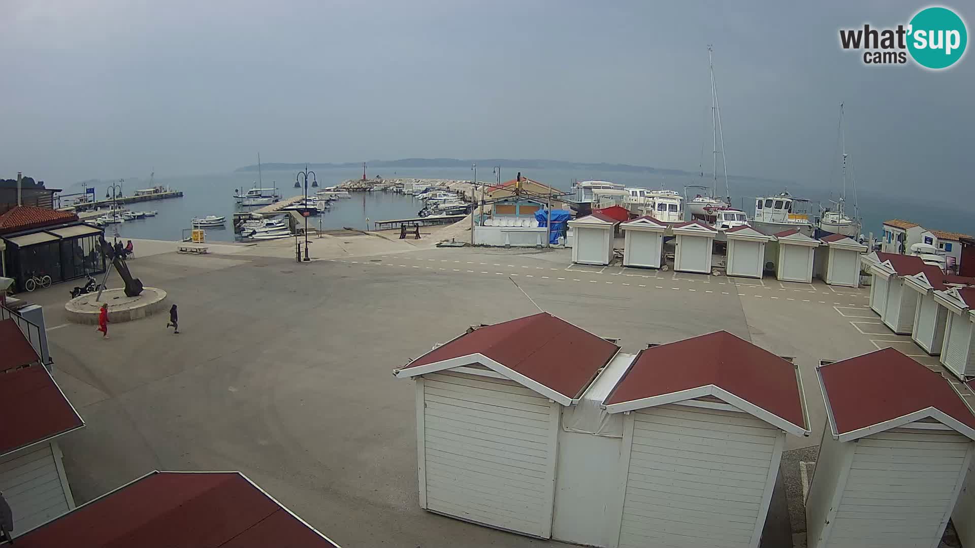 Live webcam Fažana