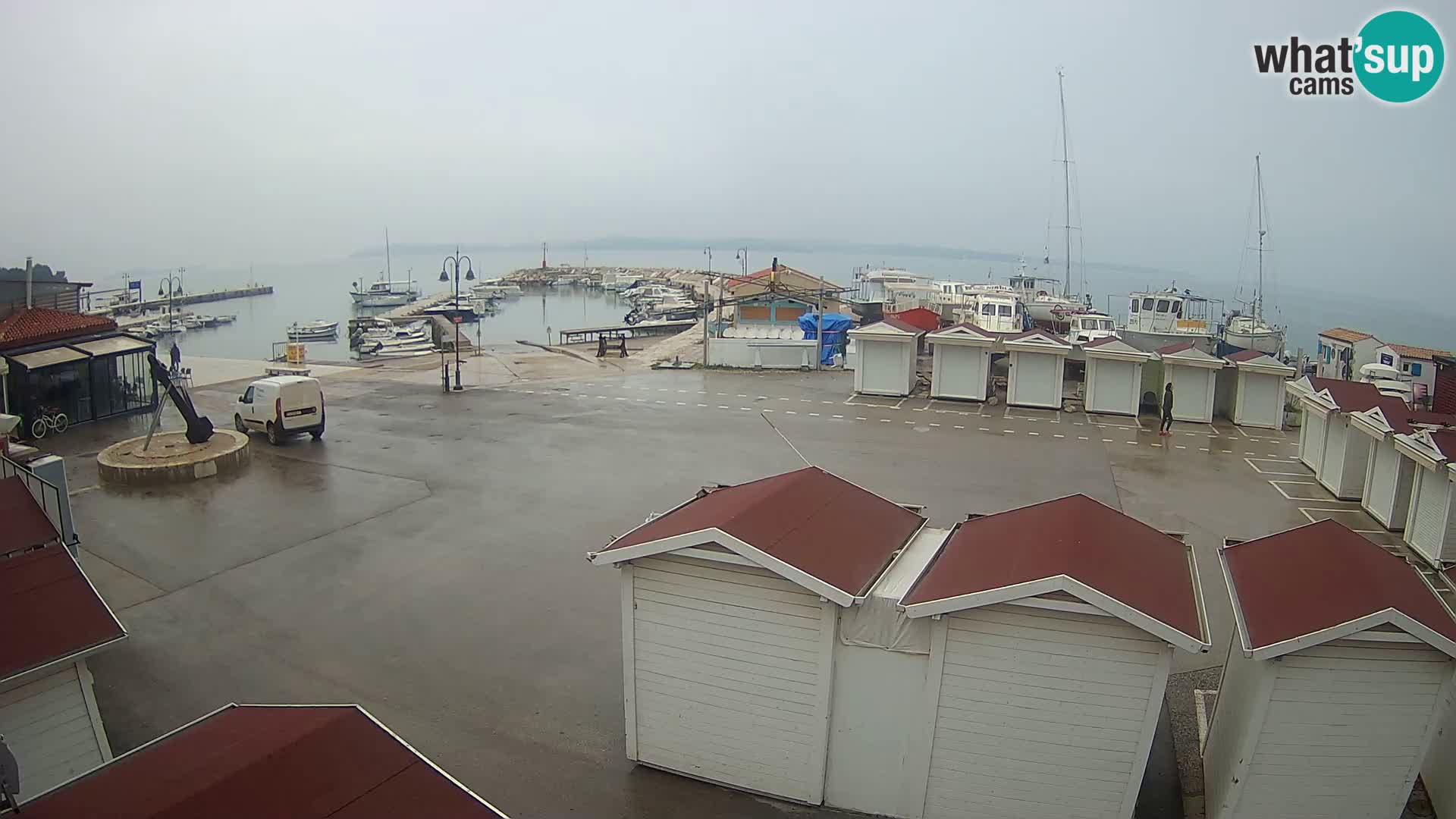 Fažana live webcam – Istria – Croatia