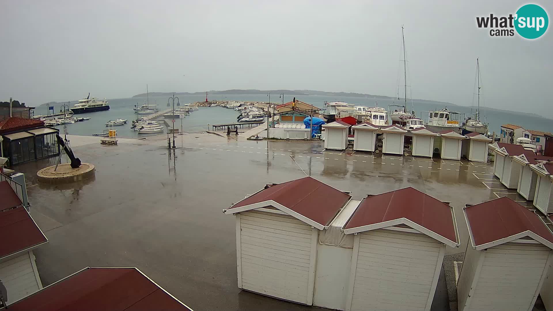 Fažana live webcam – Istria – Croatia