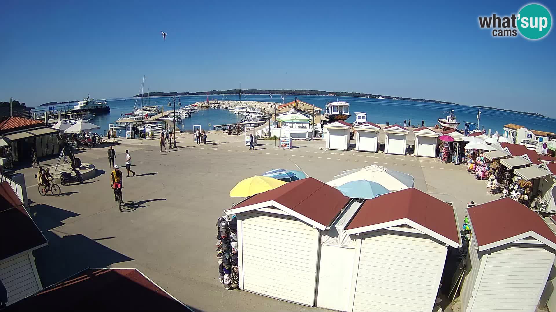 Fažana live webcam – Istria – Croatia