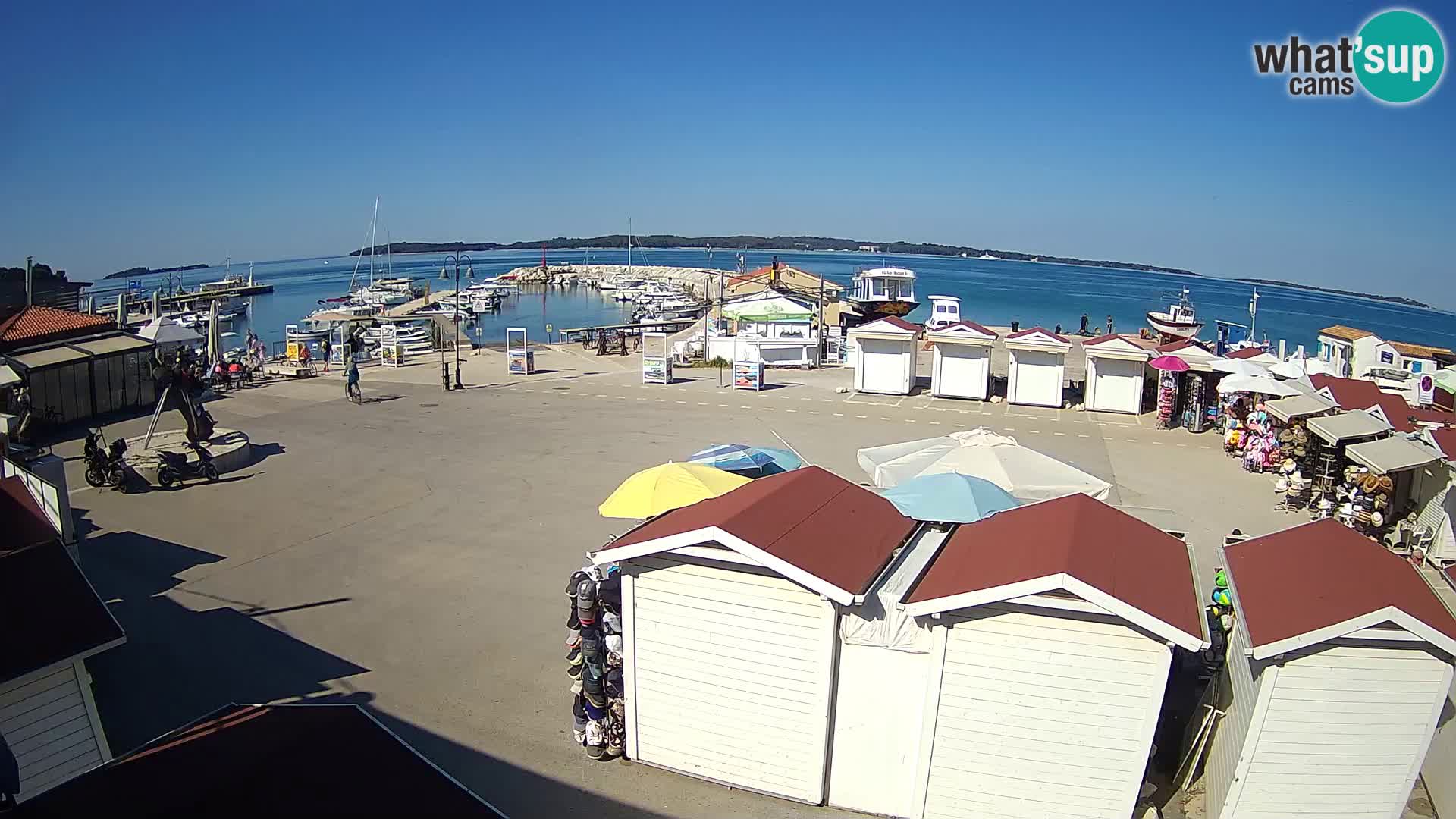 Fažana live webcam – Istria – Croatia