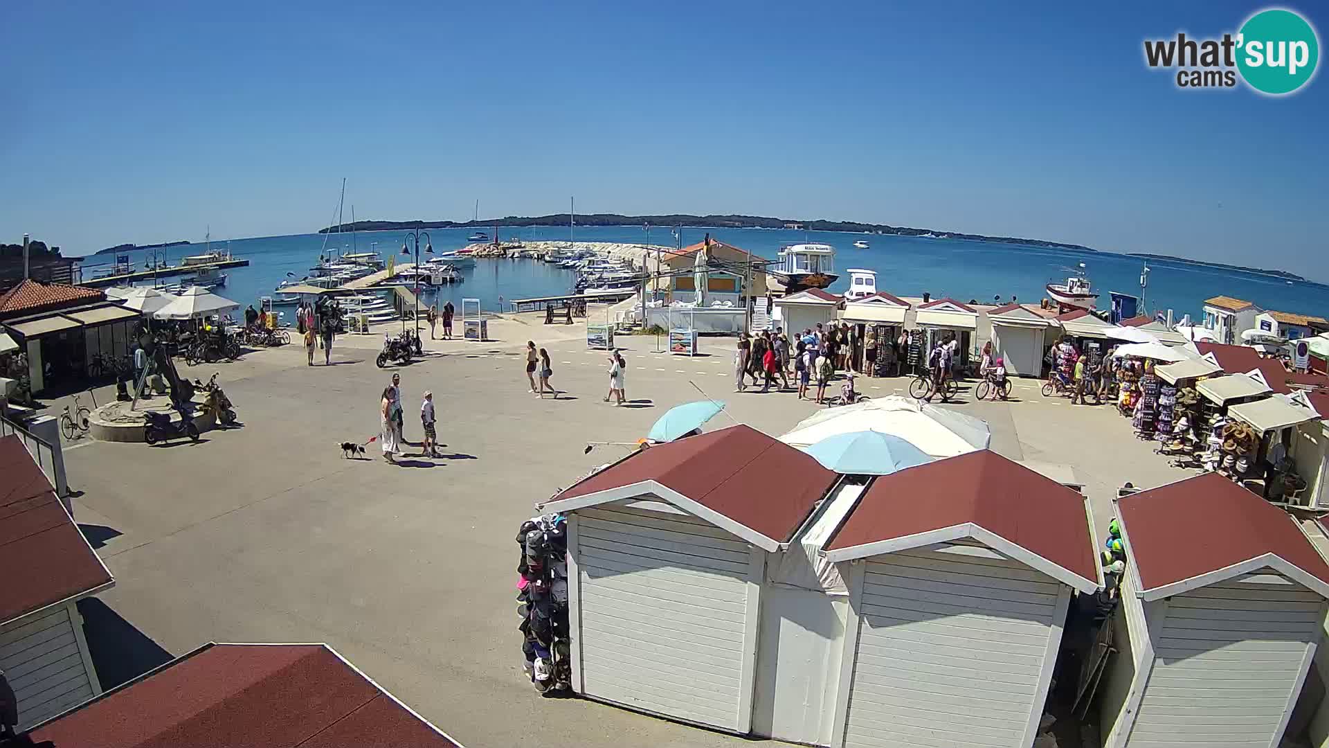 Fažana live webcam – Istria – Croatia