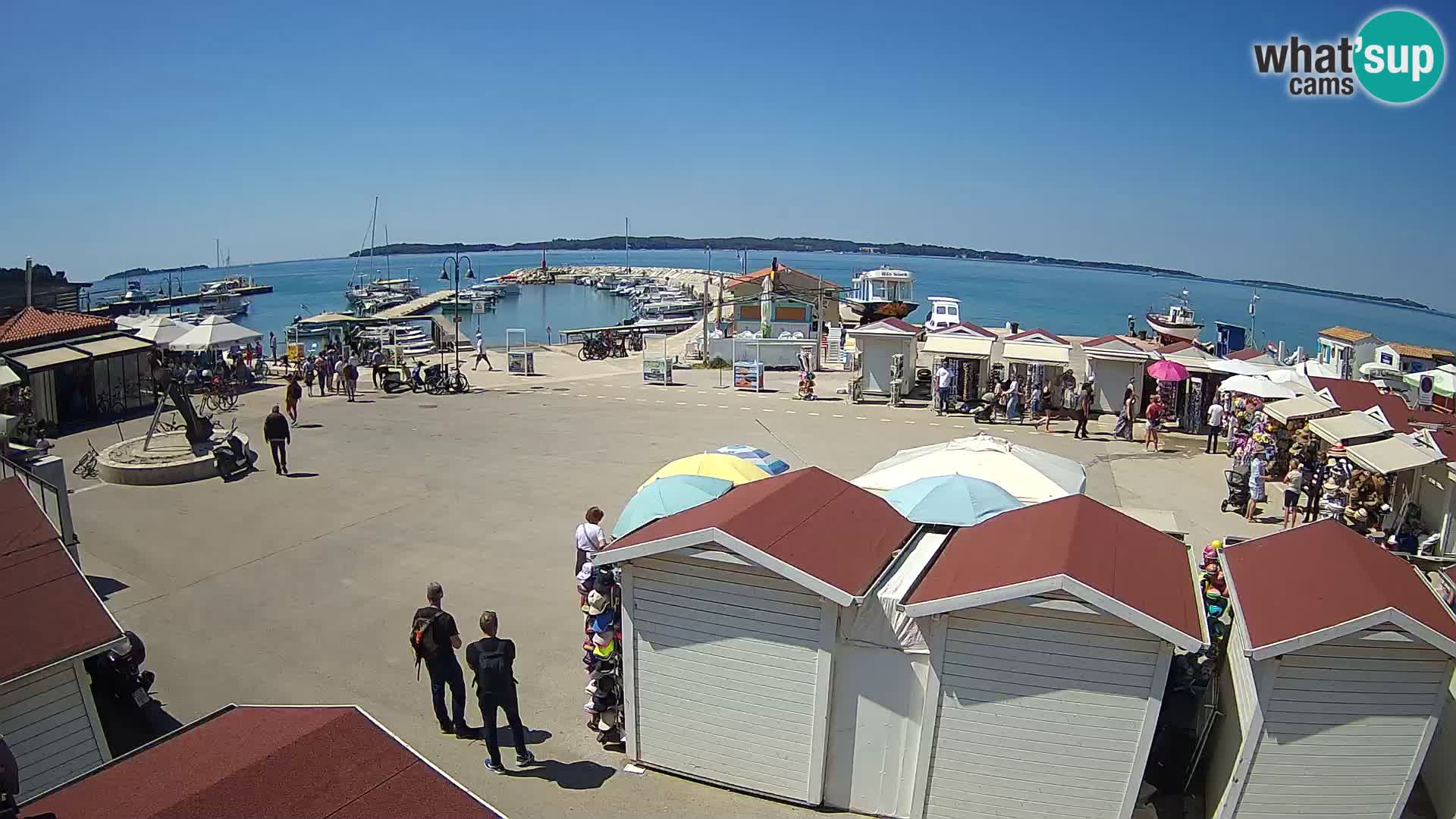 Fažana live webcam – Istria – Croatia
