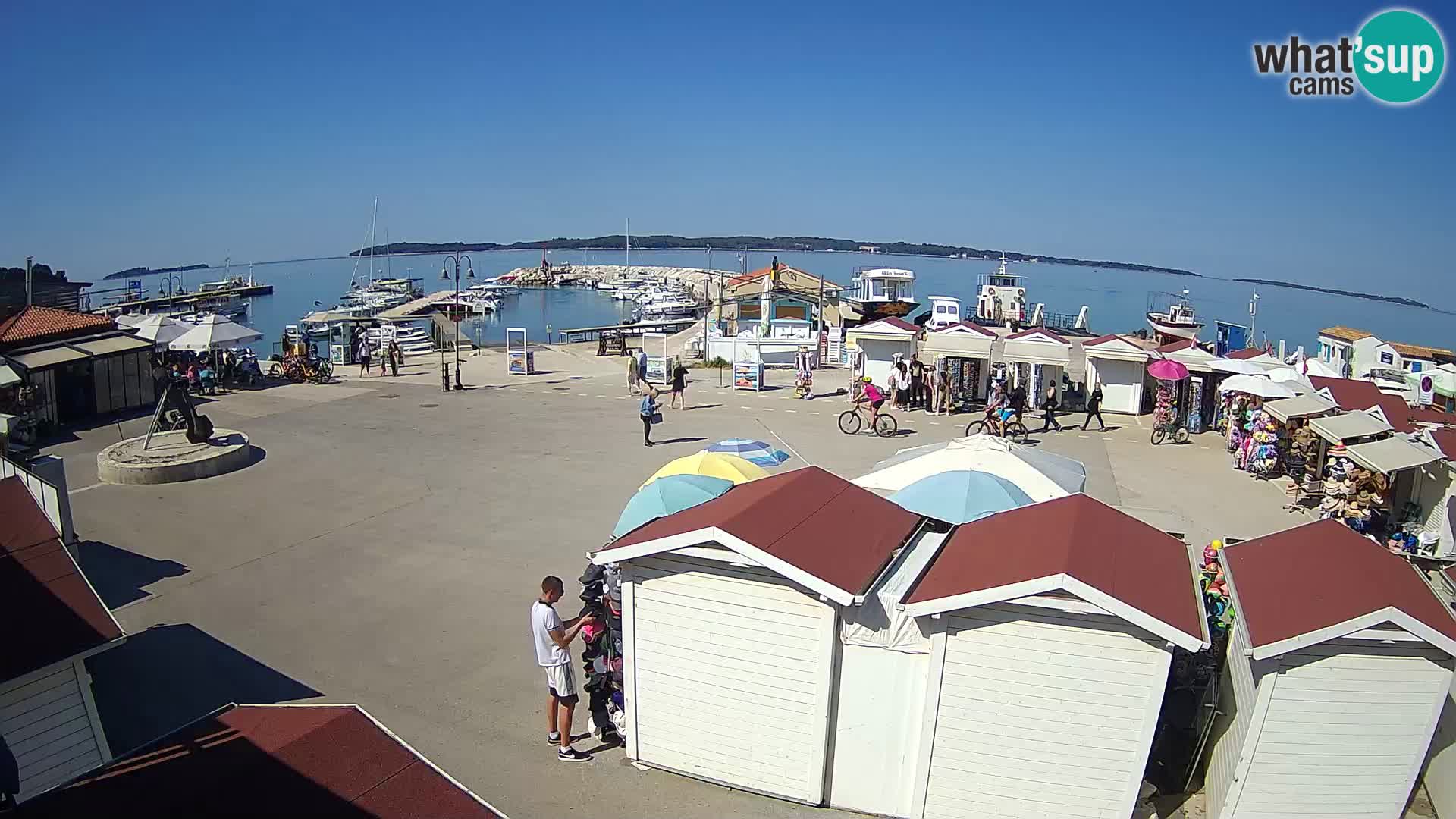 Fažana live webcam – Istria – Croatia
