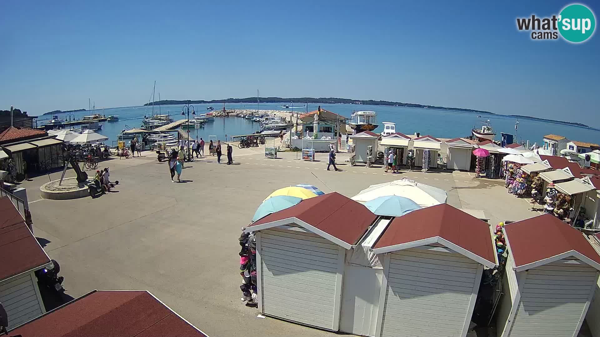 Fažana live webcam – Istria – Croatia